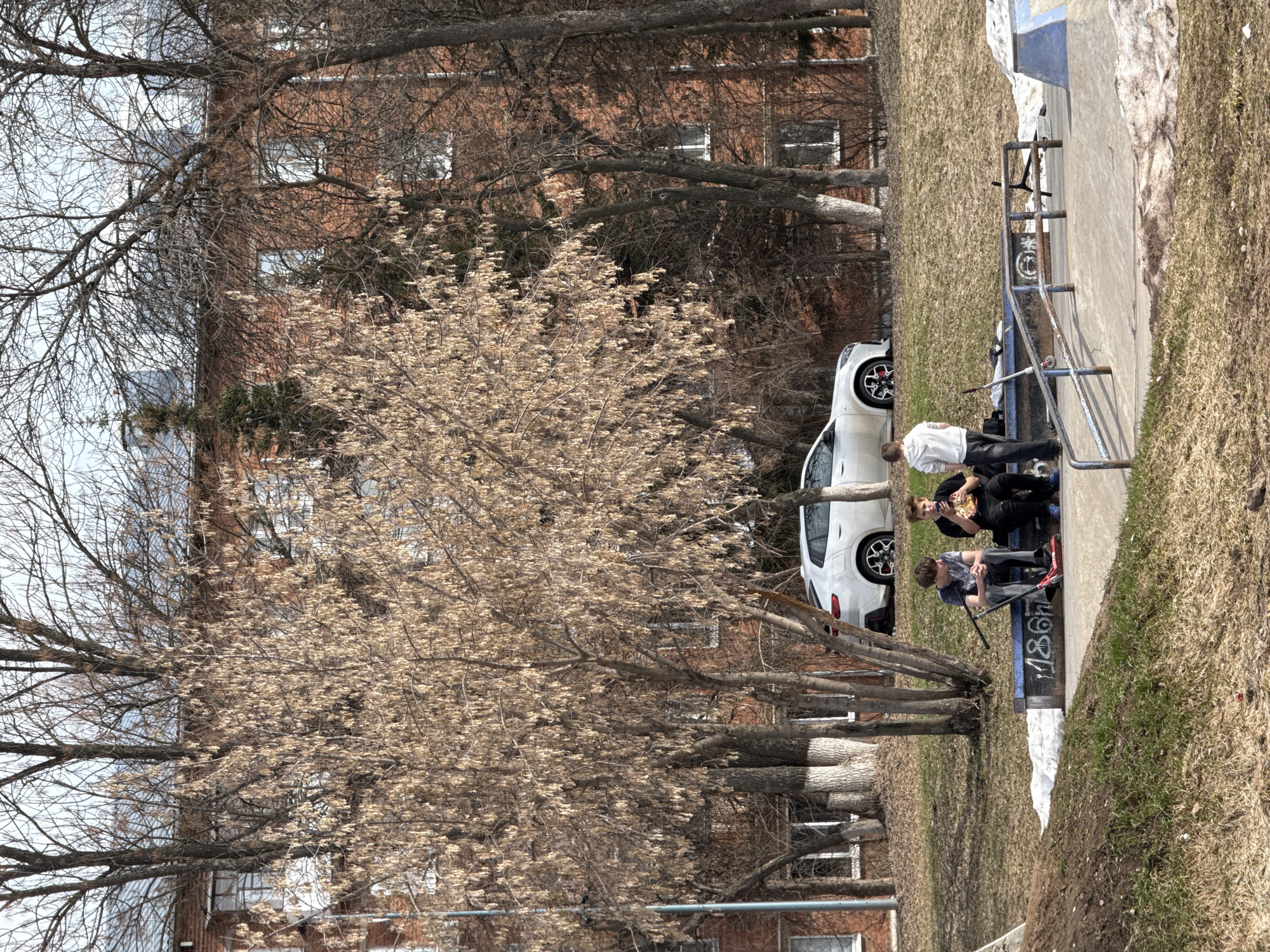The image depicts an outdoor scene. In the background, a brick building with multiple windows is visible, partially obscured by bare trees. A white car is parked near the curb.
In the foreground, three individuals are present near a concrete structure with metal railings, possibly a skate park element. One person is wearing a white shirt, while the other two are wearing dark clothing. One person appears to be holding a scooter. The scene is likely located in a park or recreational area.
Given the query's location parameter of Votkinsk, Russia, the location can be narrowed to an area within the city featuring similar architecture, landscaping, and recreational facilities. Graffiti is present on the structure.