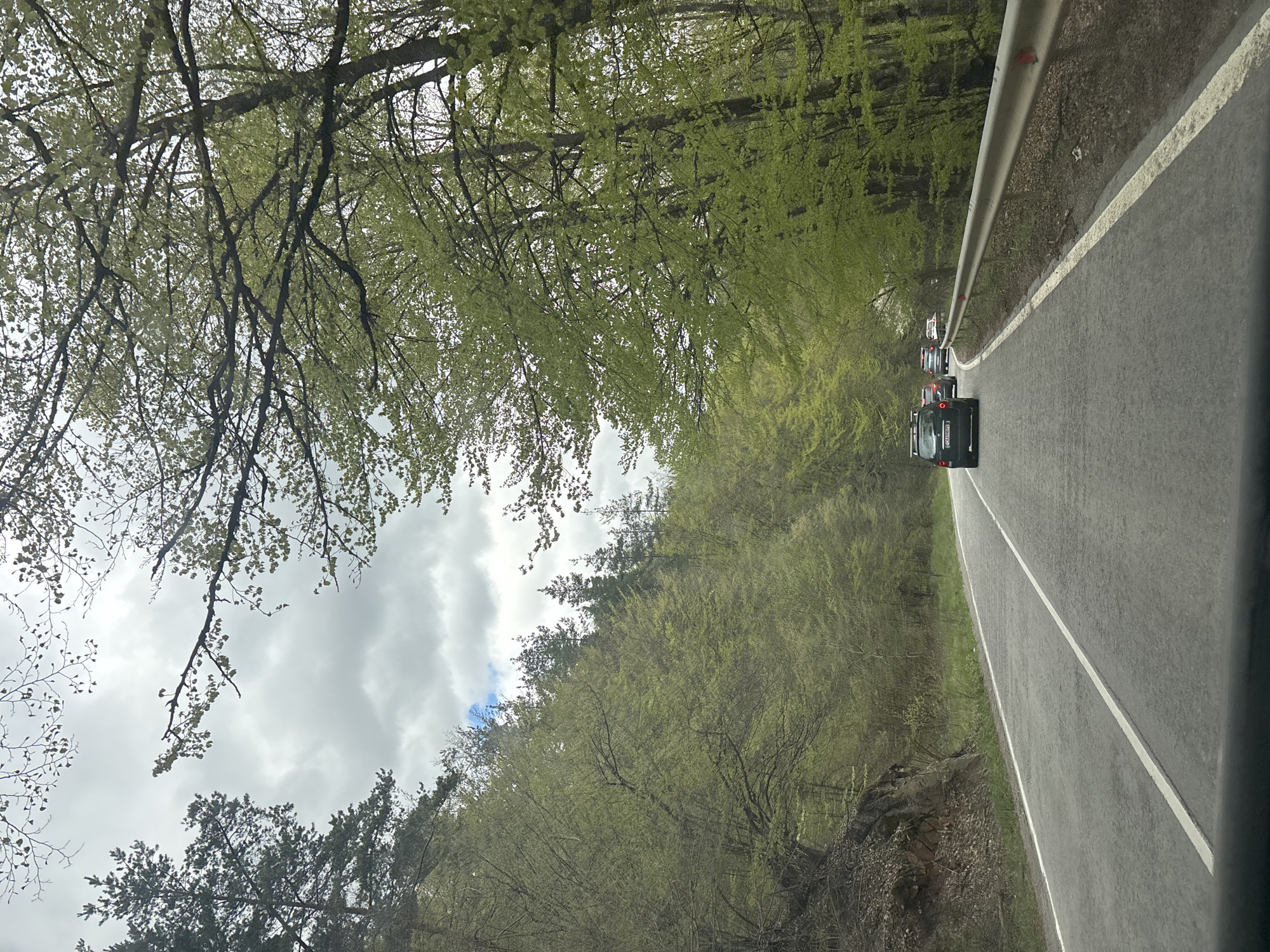 The image captures a road winding through a dense forest, likely taken from a moving vehicle. The trees lining both sides of the road are lush with fresh, light green leaves, indicating that the season is spring.

On the right side of the asphalt road, a metallic guardrail extends into the distance, separating the road from a forested embankment. A solid white line marks the edge of the road. Further along the road, several cars are visible, driving in the same direction, suggesting a line of traffic or a group traveling together. The license plate of the closest dark-colored car reads "PB 4646 HX", with "PB" being a regional code for Plovdiv, Bulgaria.

The sky above is partly cloudy, with shades of grey and hints of blue peeking through, typical of daytime weather. The overall scene portrays a scenic drive through the natural landscape of Manastirishte, Bulgaria.