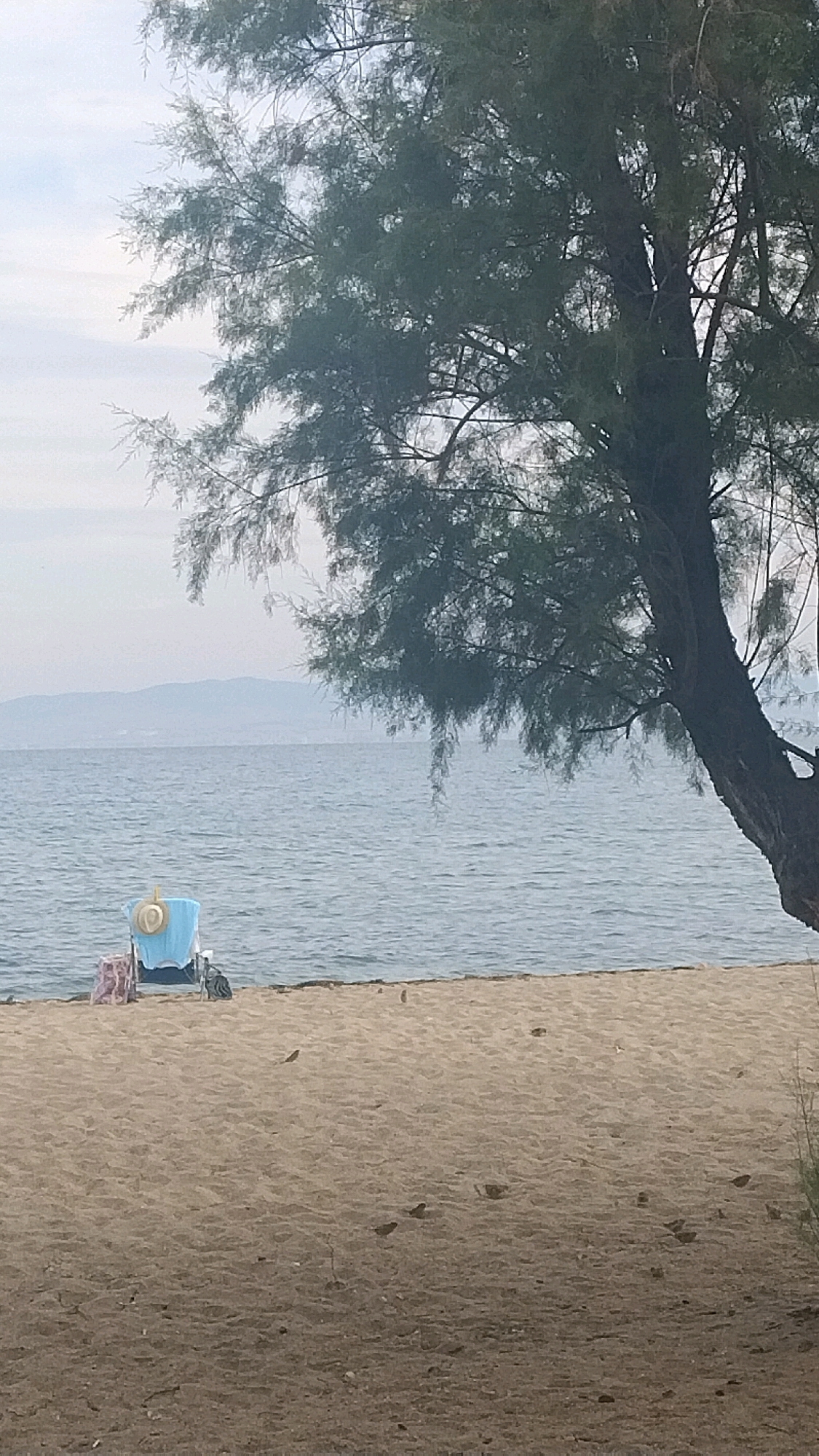 The image captures a serene beach scene in Neoi Epivates, Greece. In the foreground, a sandy beach stretches towards a calm, blue sea. Several small birds are scattered across the sand. Closer to the water's edge, a beach chair is set up, draped with a light blue towel and a straw hat. A patterned beach bag and a pink bag rest on the sand near the chair. In the mid-ground, the gentle waves of the Aegean Sea create a soft texture on the water's surface. Beyond the sea, a hazy, low-lying mountain range is visible on the horizon under a muted sky. A large, leafy tree with dark bark dominates the right side of the frame, its branches extending over the beach and the sea, casting a shadow. The overall atmosphere is one of quiet tranquility.
