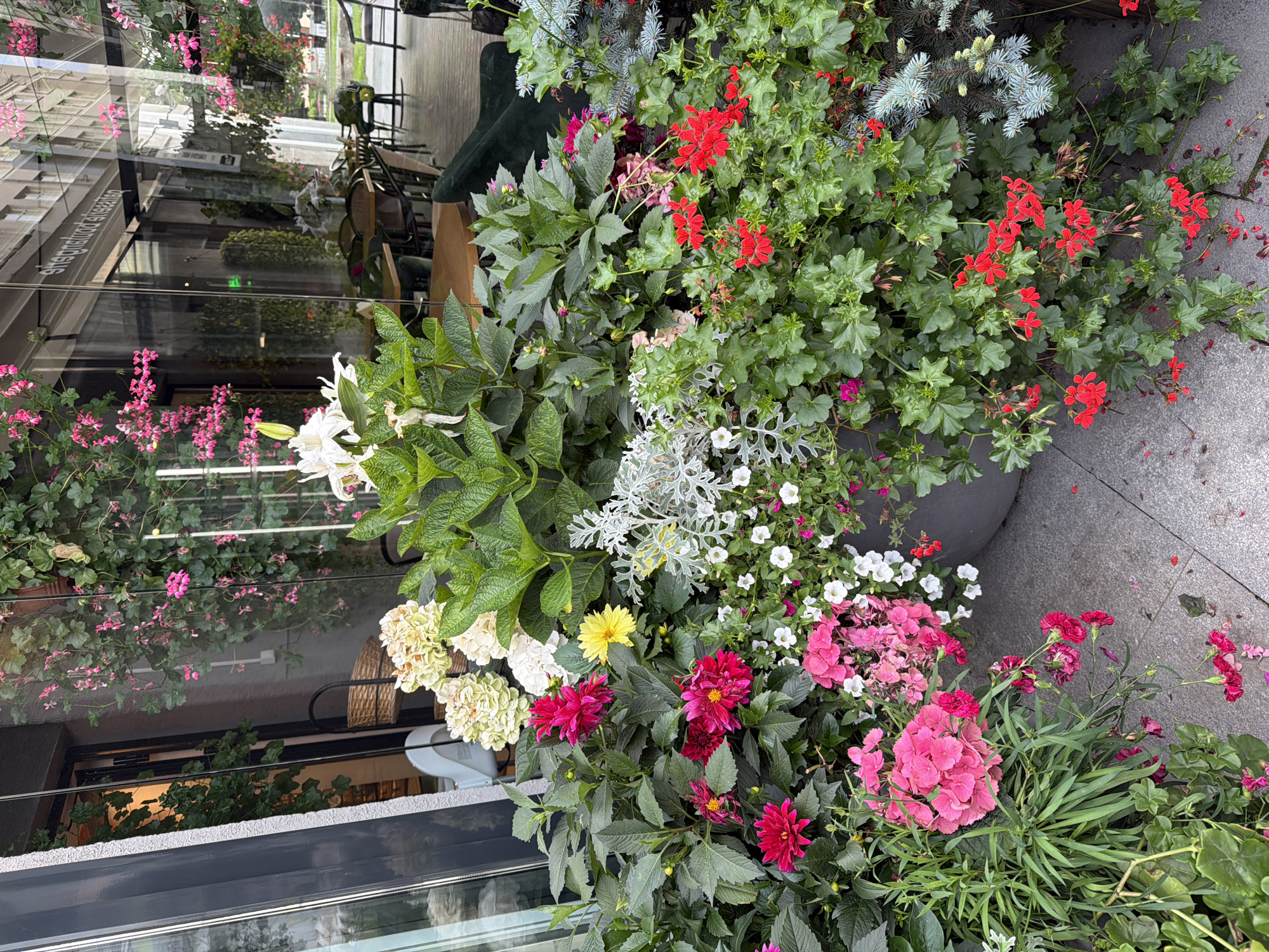 An outdoor planter filled with a dense arrangement of flowering plants is positioned on a paved city sidewalk in front of a building with large glass windows. The planter contains a variety of flowers including pink hydrangeas, deep pink dahlias, small white petunias, bright red geraniums, and a single yellow dahlia. Lush green foliage from various plants, including what appears to be evergreen branches, forms a backdrop and spills over the edges of the planter. The glass facade of the building reflects the surrounding environment, showing glimpses of interior seating and patrons at tables. The scene suggests a commercial establishment, possibly a cafe or restaurant, in an urban setting.
