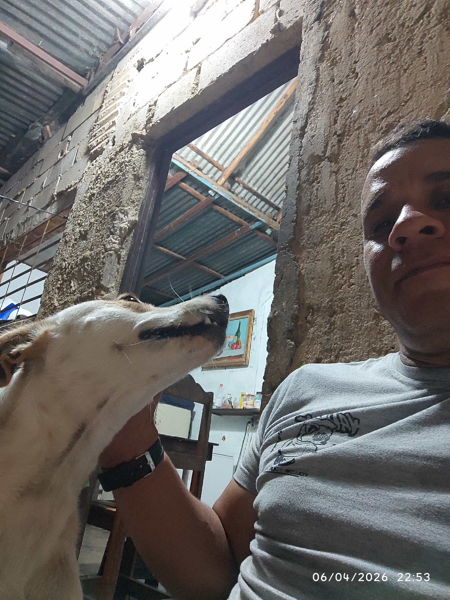 A man in a grey shirt is holding a light brown and white dog, likely a pet, in a room with unfinished interior. The walls are textured, possibly cement, and a doorway shows a corrugated metal roof visible outside. There is a framed picture on a shelf behind the dog and a date stamp on the lower right indicates 06/04/2026 22:53. There is no specific evidence to confirm the location as Tinaquillo, Venezuela.