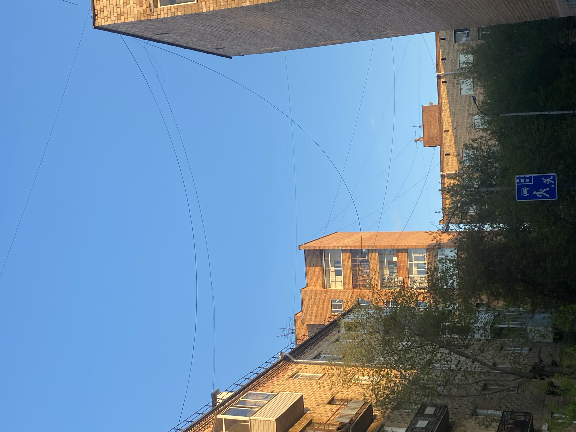 The image shows a view of buildings in Krasnoyarsk, Russia, looking upwards towards a clear blue sky. The buildings are constructed of brick and feature windows and balconies. Overhead power lines are visible against the sky. There is foliage from trees partially obscuring some of the buildings, and a pedestrian crossing signpost is visible.