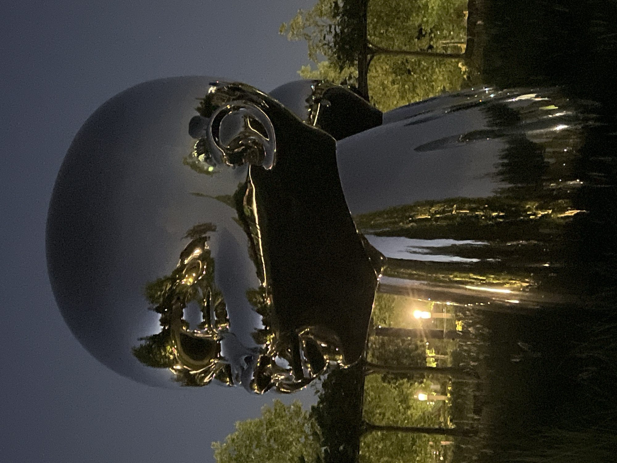 The media file displays a large, highly reflective sculpture resembling a human head or bust, positioned outdoors at night. The sculpture is crafted from a dark, polished metallic material, possibly stainless steel or a similarly mirrored surface, which dramatically reflects its surroundings.
The head is bald and smooth, with subtle features like a defined ear and cheekbone visible. The entire surface acts like a mirror, capturing the scene around it. Prominently reflected are the green foliage of trees, suggesting the season is spring or summer. Bright, warm-toned artificial lights, likely streetlights or park lights, are also clearly reflected, appearing as elongated streaks and bright points across the sculpture's dark surface. Some reflections show indistinct distant shapes, possibly other parts of a park or urban landscape.
The overall scene is set at night or very late twilight, indicated by the dark sky and the reliance on artificial lighting, which creates a striking contrast between the illuminated reflections and the dark, unlit portions of the sculpture and background. The sculpture is the central focus, appearing monumental. There is no visible activity or event taking place, as it's a static art installation. No visible text is present in the image.