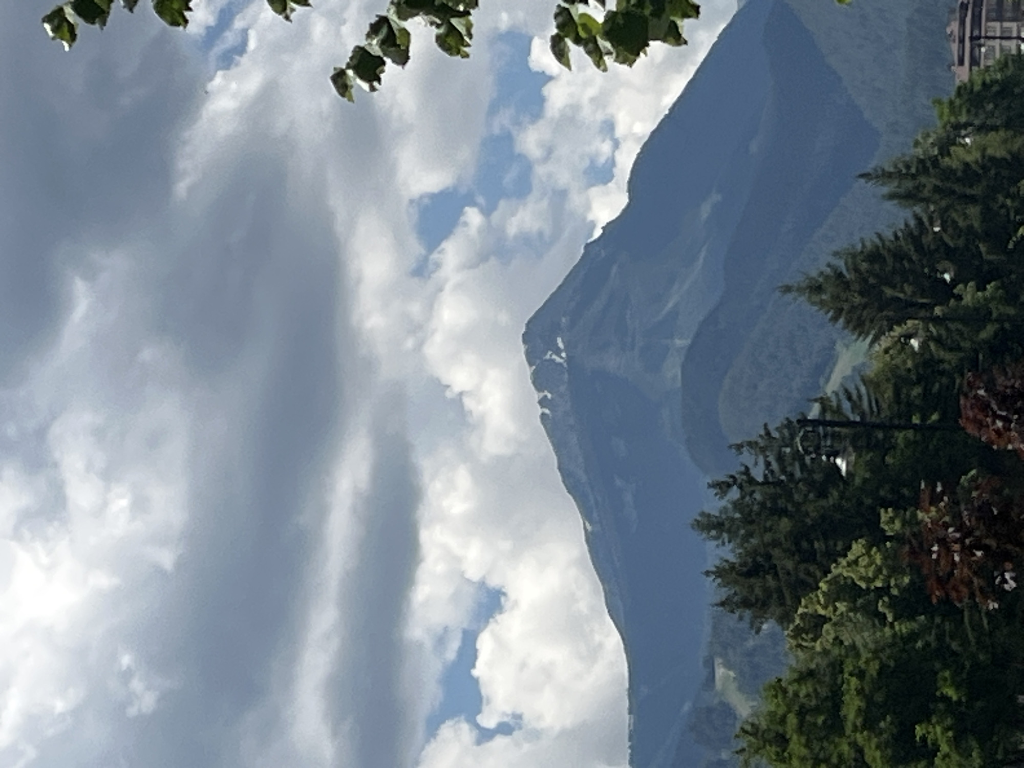 A wide-angle shot captures a majestic mountain peak dominating the background, its summit dusted with snow. The sky above is a dramatic canvas of dark gray storm clouds interspersed with bright white cumulus formations and patches of blue sky. In the foreground, a dense forest of dark green coniferous trees and lighter green deciduous trees fills the lower portion of the frame. A single lamp post with a white fixture stands amidst the trees on the right side of the image. A dark red tree is visible in the lower left corner. In the far background, on the right, a building with a tiled roof and several windows is partially visible, suggesting the presence of a town or resort. The overall scene depicts a natural mountainous landscape with elements of human settlement. This scene is representative of the landscape found in the vicinity of Bansko, Bulgaria, a town known for its mountainous terrain and ski resort.