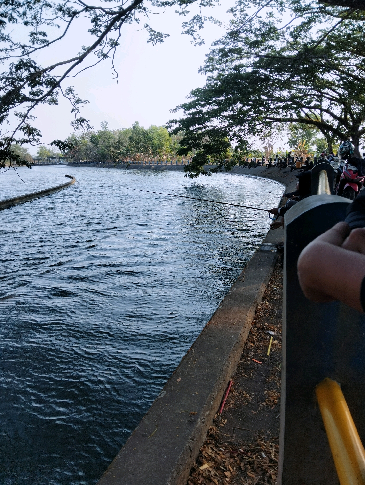 The image depicts a scene at the Pengaraian Reservoir in Kebasen, Indonesia. The reservoir's dark blue water exhibits gentle ripples, suggesting a calm atmosphere. Along the curved concrete embankment, numerous individuals are seen fishing. A prominent tree with lush green foliage extends from the upper left, casting shadows and framing the scene. In the foreground, a person's arms are visible, holding onto a golden railing. Motorbikes are parked along the embankment, indicating transportation for some of the visitors. The background reveals a dense line of trees and vegetation on the opposite bank, with a bridge visible in the distance. The overall environment suggests a popular recreational spot where people gather to fish and enjoy the natural surroundings.