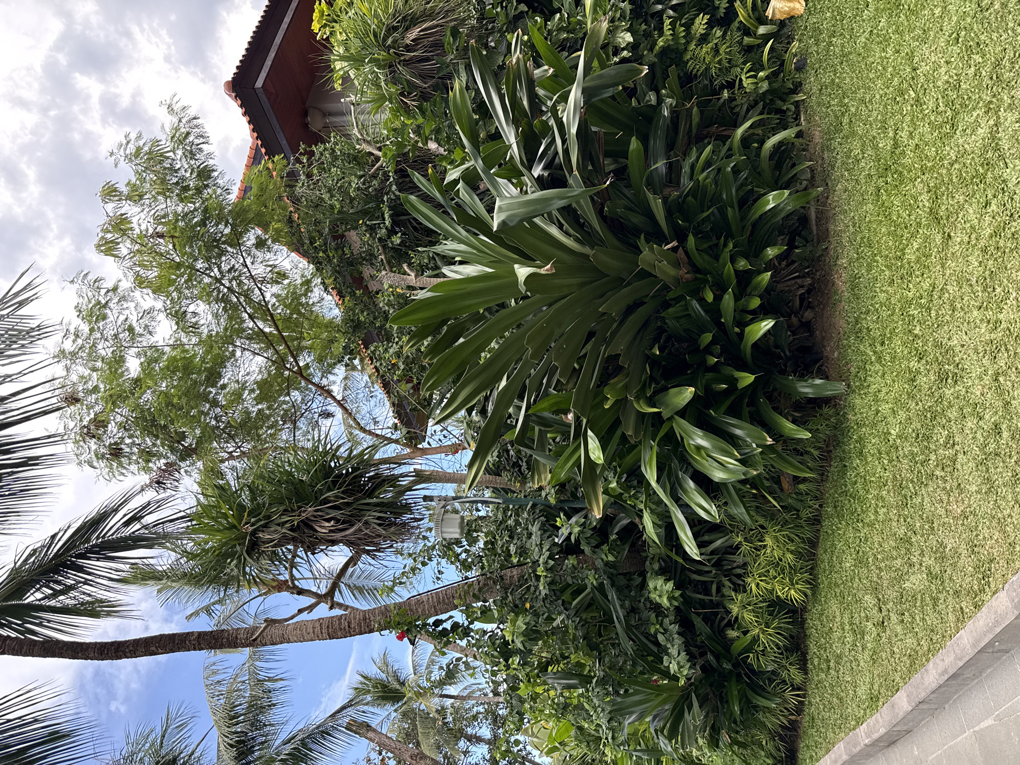 The image, likely taken in Nusa Dua, Indonesia, shows a lush tropical landscape. Dominating the foreground are large green plants bordering well-maintained grass. Further back, palm trees reach towards a partly cloudy sky. Other trees are also present, one with a red-tiled roof of a building visible behind it. A light fixture is partly obscured by the dense foliage. The overall impression is one of a well-kept tropical garden or park environment.