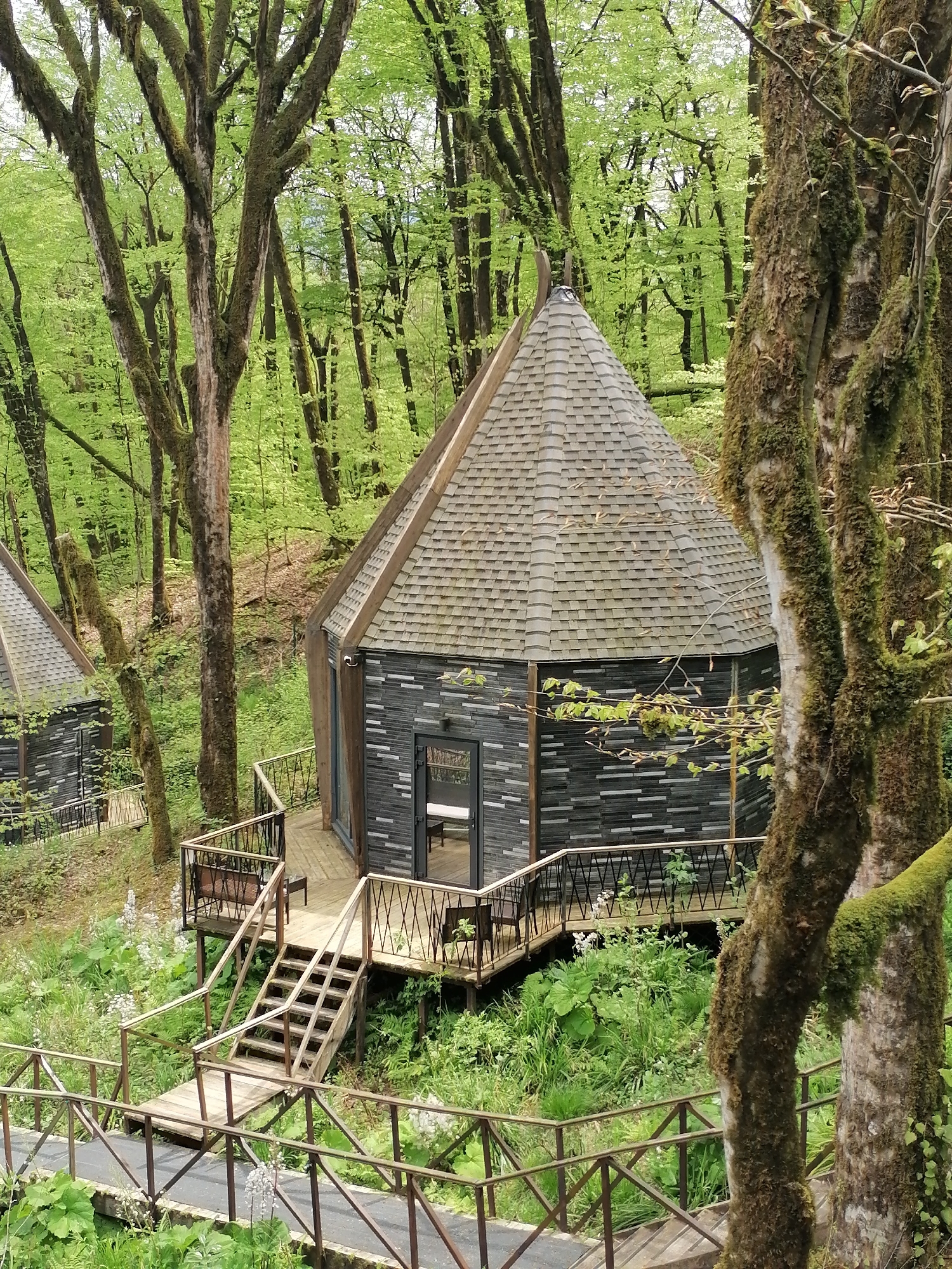 This image presents a serene and verdant forest scene in Medoveevka, Russia, featuring two distinctive, elevated cabins. The main subject is a hexagonal or octagonal cabin in the foreground, constructed with dark gray, patterned siding and a steep, conical roof clad in gray shingles. It sits on a wooden deck with a detailed metal railing, and a set of wooden stairs descends from the deck to a connecting walkway, also with metal railings, that extends further into the dense foliage.
A second, similar cabin is partially visible in the left background, indicating a collection of such accommodations integrated into the natural environment. The surrounding forest is exceptionally lush, dominated by tall trees with substantial trunks, many of which are heavily covered in vibrant green moss. The canopy is dense with bright, fresh green leaves, suggesting either spring or a perpetually verdant climate. The undergrowth beneath the cabins and trees is thick with various green plants, including large-leafed flora and scattered white wildflowers.
The scene is captured during the daytime under what appears to be soft, diffused light, which enhances the rich, natural colors and contributes to a peaceful atmosphere. No individuals are present, emphasizing the tranquil and secluded nature of the setting. The architecture of the cabins and the network of elevated walkways suggest a unique eco-tourism or glamping experience, providing a close connection with nature. There is no discernible text in the image.