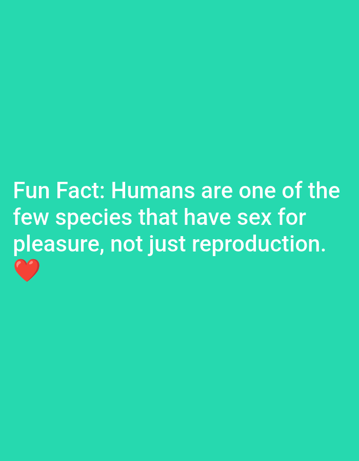 The image is a turquoise background with white text and a small red heart emoji. The text reads: "Fun Fact: Humans are one of the few species that have sex for pleasure, not just reproduction." There is no discernible location in Lagos, Nigeria or any other city.