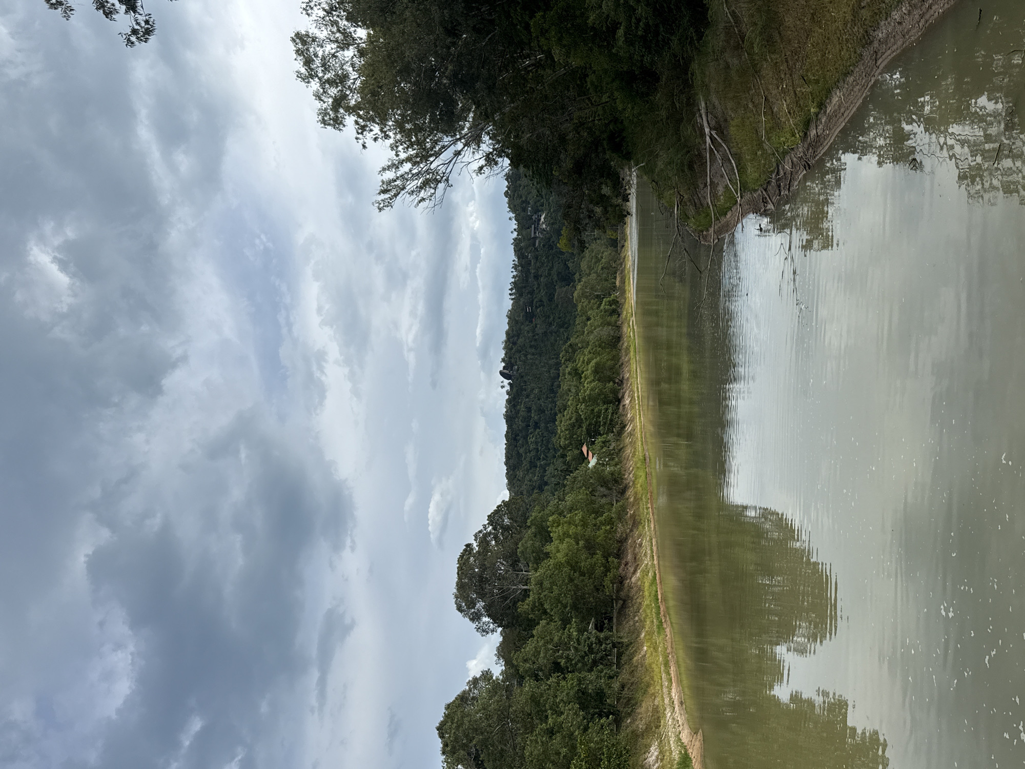 The image depicts a wide, calm body of water, likely a river or canal, in the city of Ko Samui, Thailand. The water is a murky green color and reflects the overcast sky and the lush, densely forested hills that line its banks. The sky is filled with dramatic, heavy grey clouds, suggesting an impending storm or recent rainfall.
On the left bank, the land slopes gently upwards, covered in grass and sand, with trees growing closer to the water's edge. A few scattered houses are visible nestled within the foliage on the hills in the distance. The right bank is more densely vegetated with trees and bushes, with fallen branches visible along the waterline. The overall atmosphere is serene and natural, with a sense of raw, untamed beauty. There are no people or animals visible in the image.