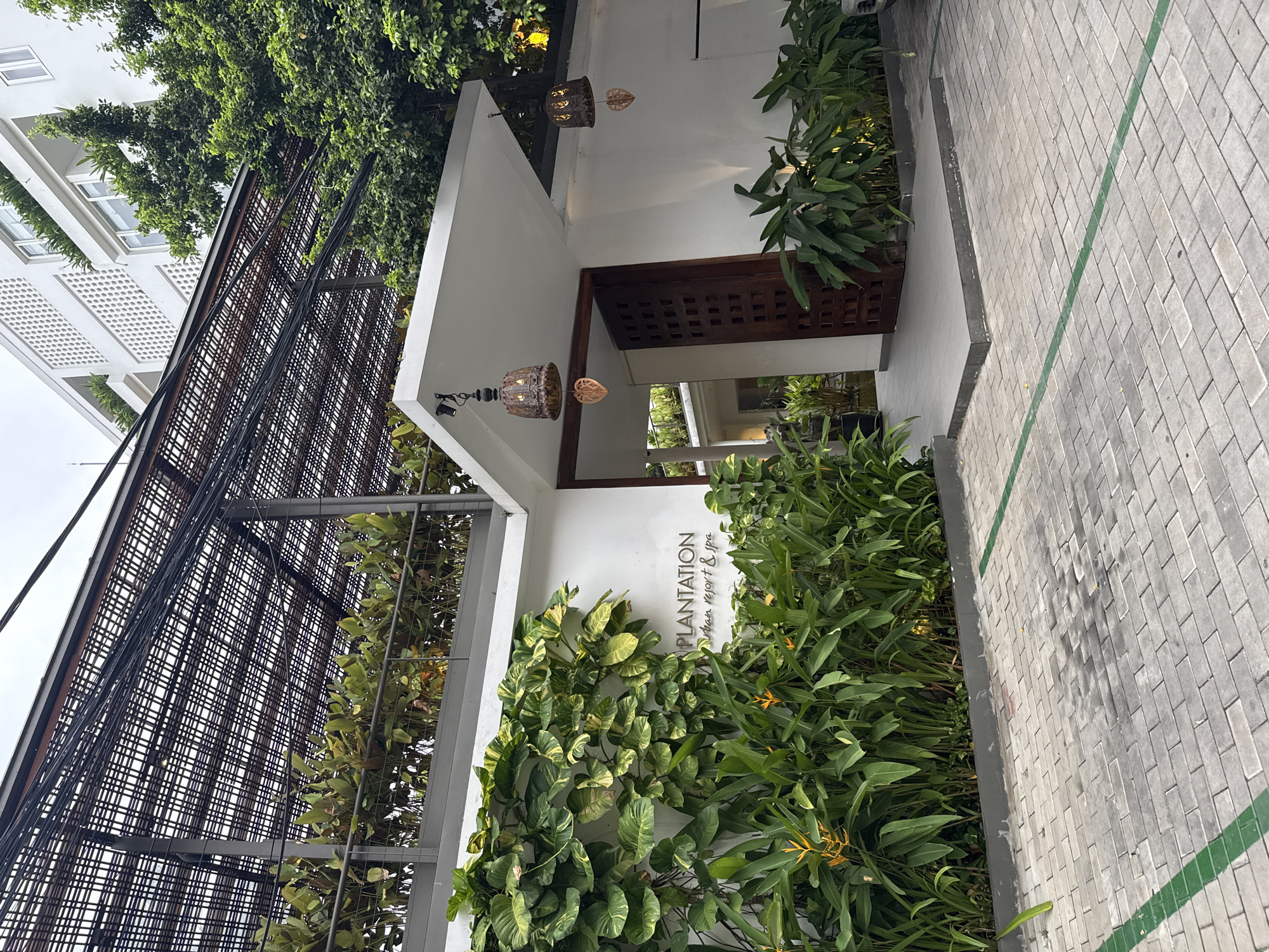 The image shows the entrance to a building with lush green plants and a modern design. The facade is white with a large, ornate wooden door. Above the entrance, a canopy is supported by metal beams, and a latticework structure covers the top, with dense foliage visible behind it. Two decorative lanterns hang from the overhang of the entrance. To the left of the entrance, a white wall is covered in large, variegated green leaves. The text "PLANTATION urban resort & spa" is visible on the wall. The ground in front of the entrance is paved with grey rectangular bricks, and green lines mark parking spaces. In the background, a white multi-story building with balconies and white latticework windows can be seen, surrounded by trees. The scene suggests an upscale resort or spa located in a tropical urban environment, possibly Khan Daun Penh, Cambodia, given the architectural style and vegetation.