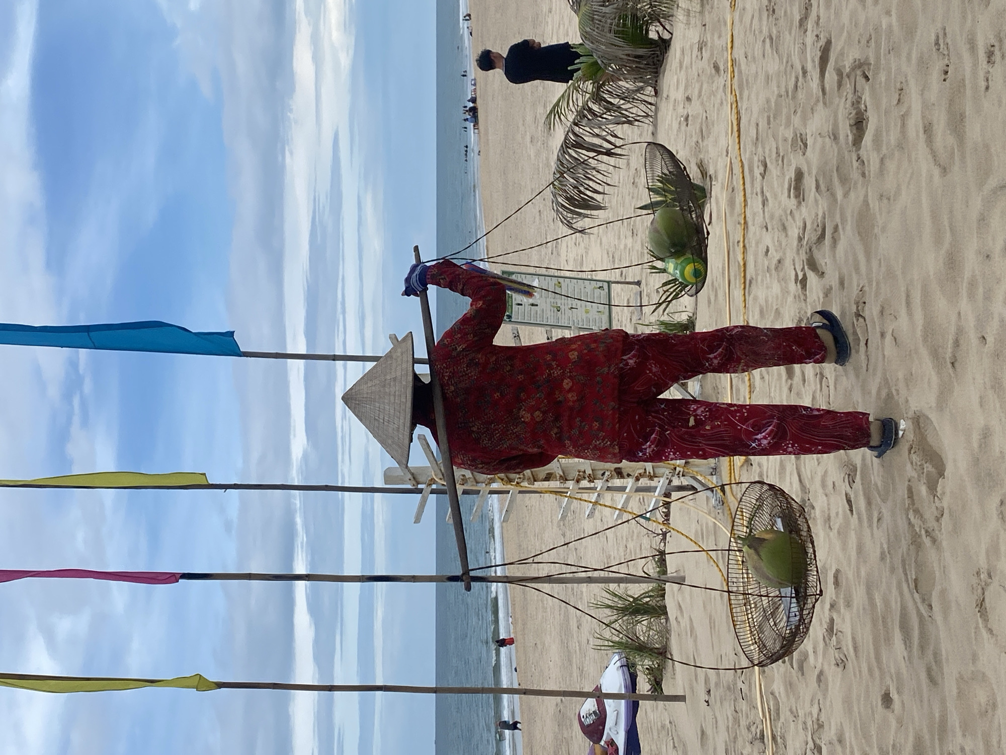 The image depicts a person on a beach, likely a vendor, carrying two baskets filled with coconuts suspended from a pole balanced on their shoulders. The person is wearing traditional Vietnamese clothing, including a conical hat and a patterned red outfit. The beach scene includes colorful flags, other people in the distance, and foliage growing in the sand. The location is Phu Thuy Ward, Vietnam, as suggested by the traditional attire and tropical beach environment.