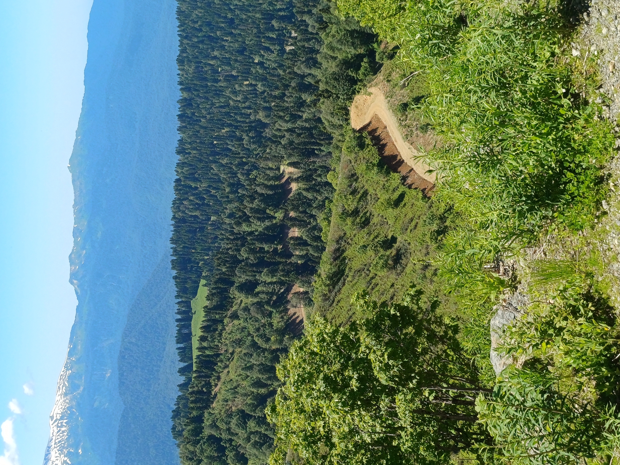 The image shows a mountainous landscape in Esto-Sadok, Russia. The scene is dominated by a dense evergreen forest that covers the slopes of the mountains. A dirt road or trail winds its way up the mountainside, disappearing into the trees. The sky is a clear blue with a few wispy white clouds. In the distance, hazy blue mountains rise up, with some patches of snow still visible on their peaks. The foreground is filled with lush green vegetation, including bushes and trees. The lighting suggests it is daytime, likely mid-morning or afternoon, with bright sunshine casting shadows. There is no visible text in the image. The overall impression is one of a serene and natural environment, possibly a hiking or scenic viewpoint.