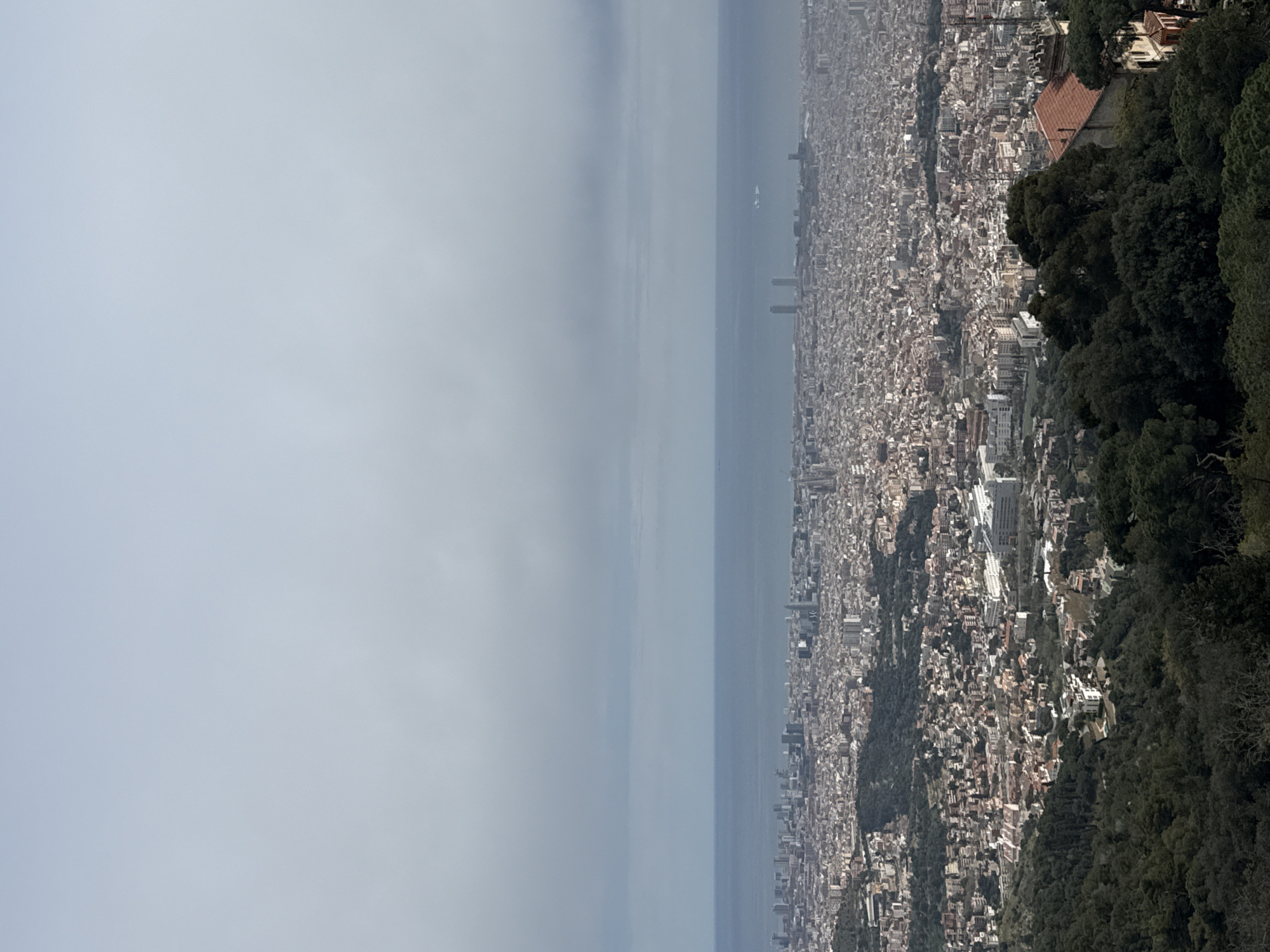 This image is a view of Barcelona, Spain, from an elevated vantage point, likely from the hills or mountains surrounding the city. The city sprawls densely across the frame, with a mix of buildings ranging in height. The sea is visible as a gray-blue band in the center, blending with the sky due to a cloudy or hazy atmosphere. A line of trees appears on the right side of the image, close to the viewpoint. The sky takes up a large portion of the view and is a uniform light gray color.