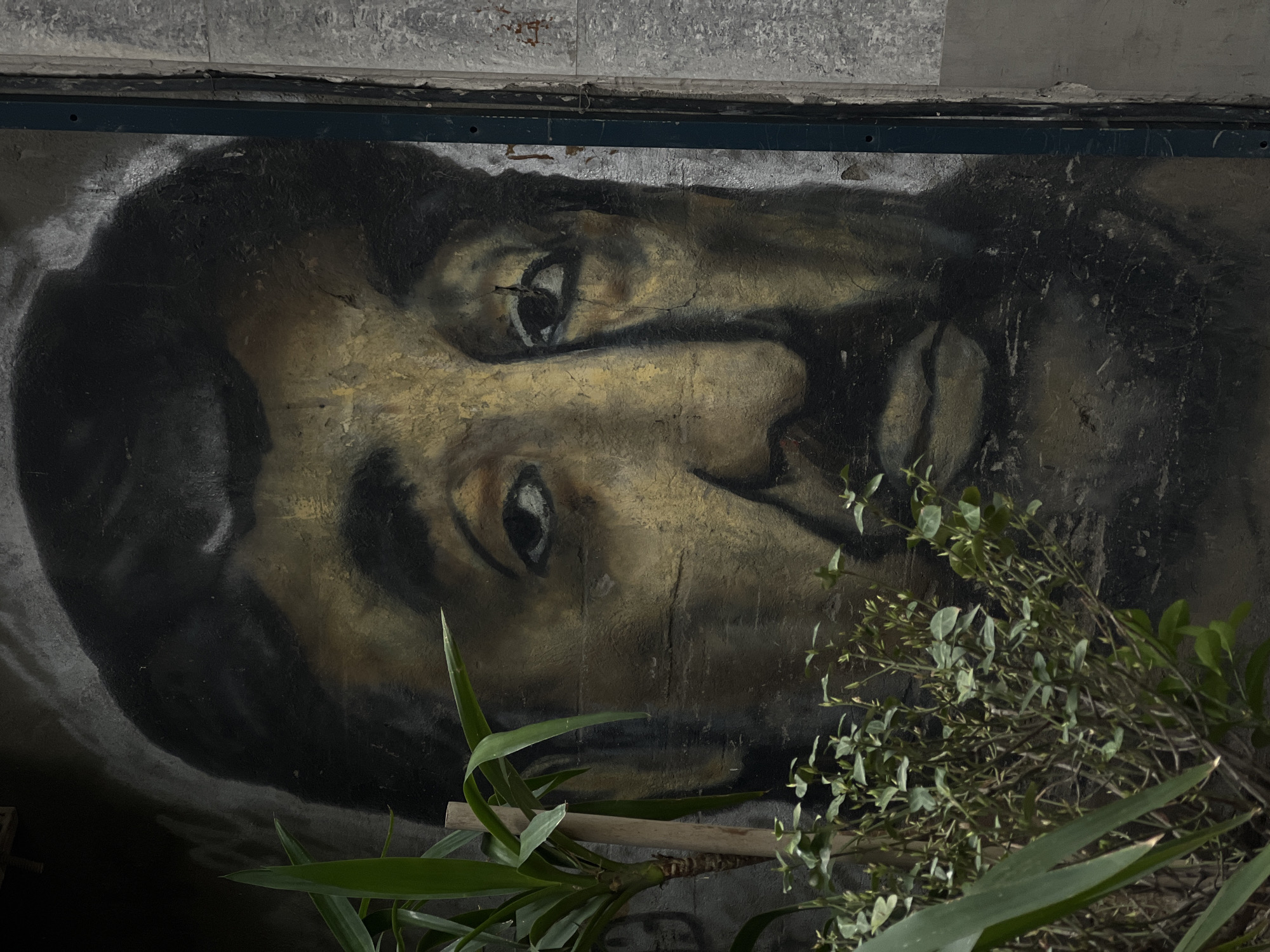 A faded, partially obscured mural of a man's face is affixed to a wall or surface with a gray concrete or cement texture above it. The mural has a yellowish-brown skin tone with dark hair. Parts of the mural are damaged or worn, particularly around the eyes and nose. A small bush or plant obscures the lower right portion of the face. Long, pointed green leaves from a different plant are visible at the bottom of the image. The overall lighting is dim, enhancing the worn and aged appearance of the mural. This image appears to be in an urban setting, likely in Yerevan, Armenia.