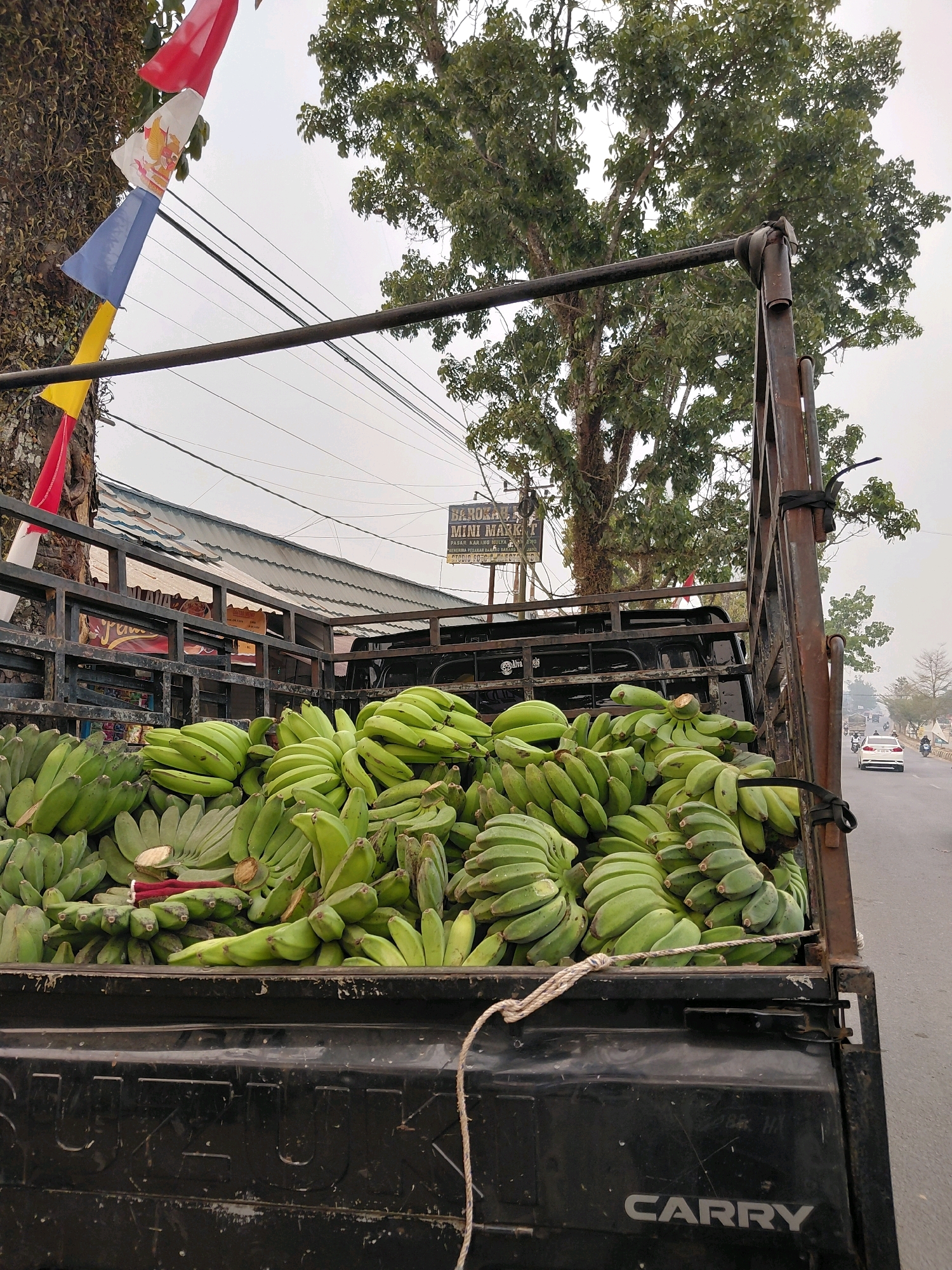 A truck bed is filled with green bananas, suggesting a sale or transport of produce in Karang Mulya, Indonesia. The truck is on the side of a road, with a store sign visible in the background that reads "AROKAI MINI MARKET". The sky is overcast, and there are trees and power lines in the background. A few flags are strung up on a tree. The truck bed is black and has "CARRY" written on the tailgate. The scene appears to be outdoors in a semi-urban or rural setting.