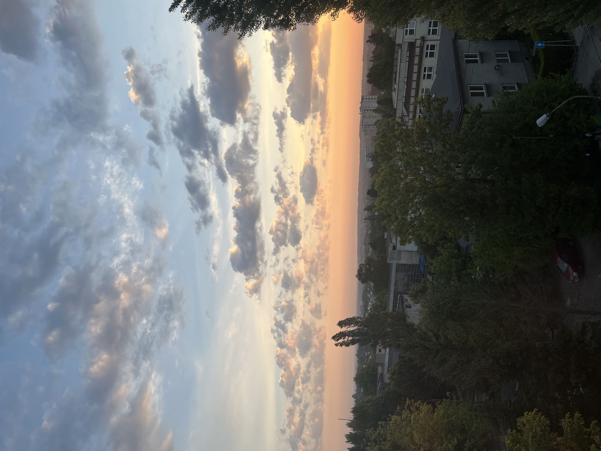 The image is oriented vertically, showcasing a vibrant sky dominating the top and left portions, transitioning to a distant urban landscape on the right and dense foliage on the bottom.
The sky on the far left is a pale blue, gradually becoming brighter towards the center and top, where it explodes into warm hues of orange and pink along the horizon. Scattered clouds of various sizes and shapes are visible across the sky; some are dark grey, while others are illuminated with soft yellow and orange light, particularly near the bright horizon.
Below the colorful sky, a distant city skyline stretches across the right half of the image, appearing somewhat hazy. Several multi-story buildings, mostly light-colored, are visible within this urban sprawl.
In the foreground and midground, a significant amount of lush green tree foliage frames the scene from the bottom and the far right. These trees are dark, providing a strong contrast against the bright sky. Partially obscured by the trees on the bottom right, residential or commercial buildings with visible windows and roofs can be seen. One building, prominent on the bottom right, features white-framed windows against a light facade. A street light with a white lamp head extends upwards from the bottom right corner. A blue directional sign with a white arrow pointing right is discernible near one of the buildings. A red car is parked on what appears to be a street or parking area on the far bottom right.
The overall impression suggests a serene sunset or sunrise over an urban area, characterized by the warm glow in the sky and the atmospheric perspective. There are no people visible, and no specific activity is taking place.