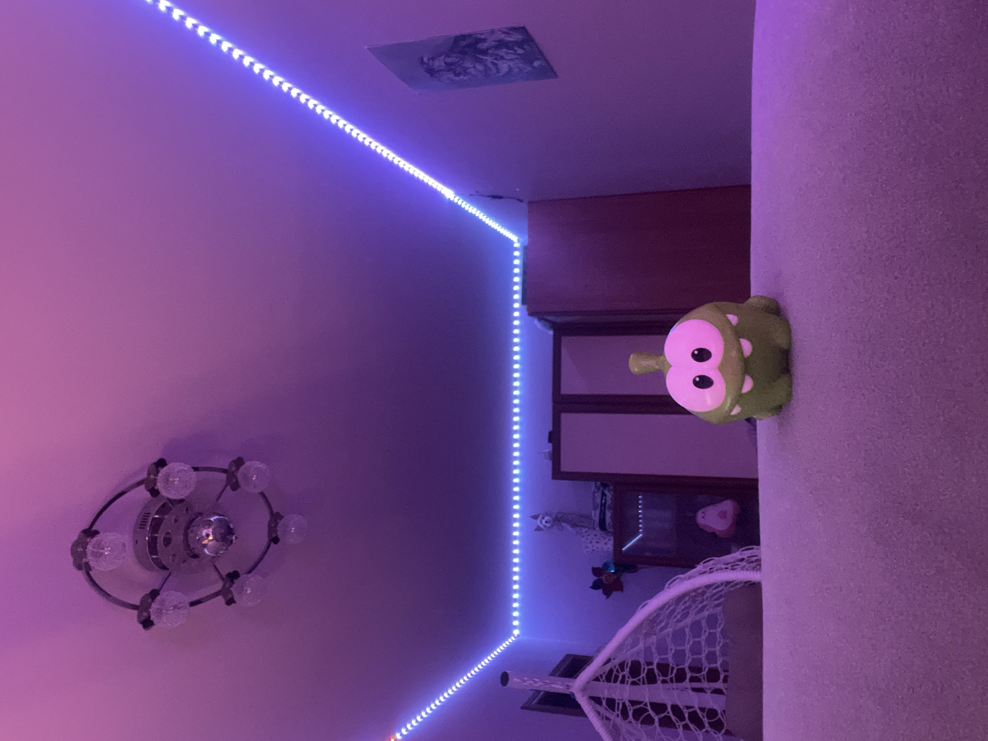 The media file displays an indoor room, likely a bedroom, illuminated primarily by ambient LED strip lights. The lighting casts a vibrant purple and blue glow across the walls and ceiling, suggesting it is evening or night.
In the foreground, on the right side of the image, a green, cartoonish figure resembling Om Nom from the 'Cut the Rope' game series rests on a light-colored, textured surface, possibly a bed or sofa.
The ceiling features a decorative ceiling fan or light fixture with multiple clear, globe-shaped lights arranged in an oval pattern, though these lights do not appear to be active. A small, framed picture or poster is affixed to the ceiling near a corner where the LED lights trace the architectural line.
The LED strip lights run along the top edge where the wall meets the ceiling, extending around a corner and down an adjacent wall, creating a continuous line of bright points. In the background, dark wooden furniture, possibly a wardrobe with mirrored sections, is visible. Below this, part of a white, woven object, possibly a hanging chair or a decorative element, can be seen. Other decorative items, including a small red heart-shaped object, are faintly visible on shelves or surfaces further back in the room. No people or visible text are present in the image.