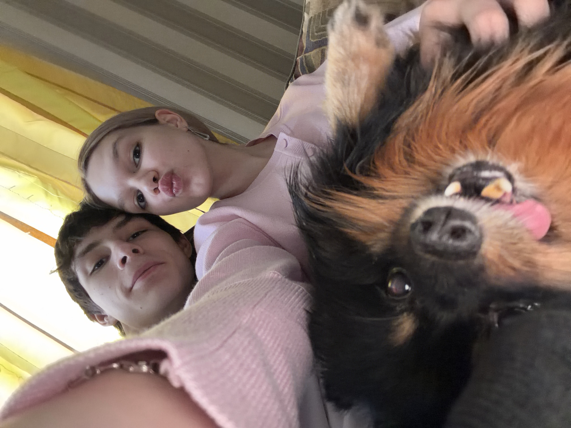 A close-up, angled shot depicts a young man and woman alongside a dog. The woman, positioned at the top of the frame, pouts her lips. The man is slightly below her to the left. All three individuals are close together, with the dog being held or positioned close to the couple, such that its head and paws are visible in the right side of the frame. The subjects are set against a neutral background, with light-colored blinds partially visible at the top of the image and on the left. The dog is small with primarily brown and black fur. The location is indeterminate. The city name of Noviy, Russia is not evident from the image.