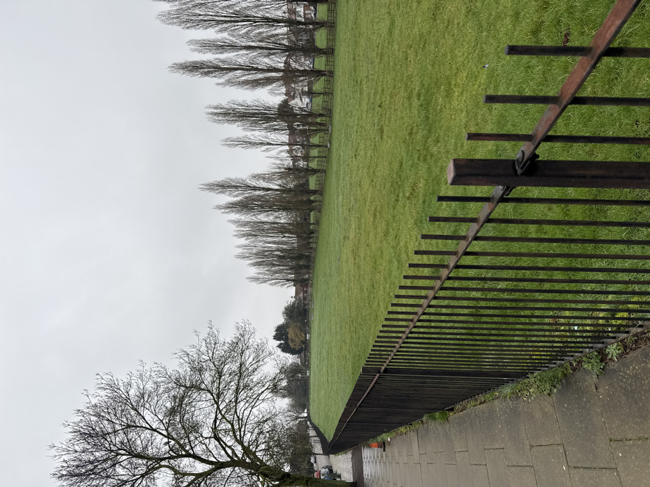 The image depicts an outdoor scene at Gladstone Park, Dollis Hill, London NW2, United Kingdom, under an overcast sky. In the immediate foreground, a dark, weathered metal fence with vertical bars runs diagonally from the lower right to the mid-left, bordering a paved sidewalk to its left. Weeds are visible along the sidewalk's edge next to the fence. A large, bare deciduous tree with extensive branching occupies the upper left quadrant, partially obscured by the fence. Further down the sidewalk, a small orange traffic cone is visible. Beyond the tree and sidewalk, a road with parked vehicles and more bare trees lines the street. To the right of the fence, an expansive, vibrant green grassy field stretches across the midground. In the background, a long, distinct line of tall, slender, bare deciduous trees, characteristic of poplars, extends horizontally across the field. Behind this tree line, a wooden fence is visible, followed by the facades of multiple white residential houses. No individuals or animals are present in the scene, and no specific actions or interactions are depicted.