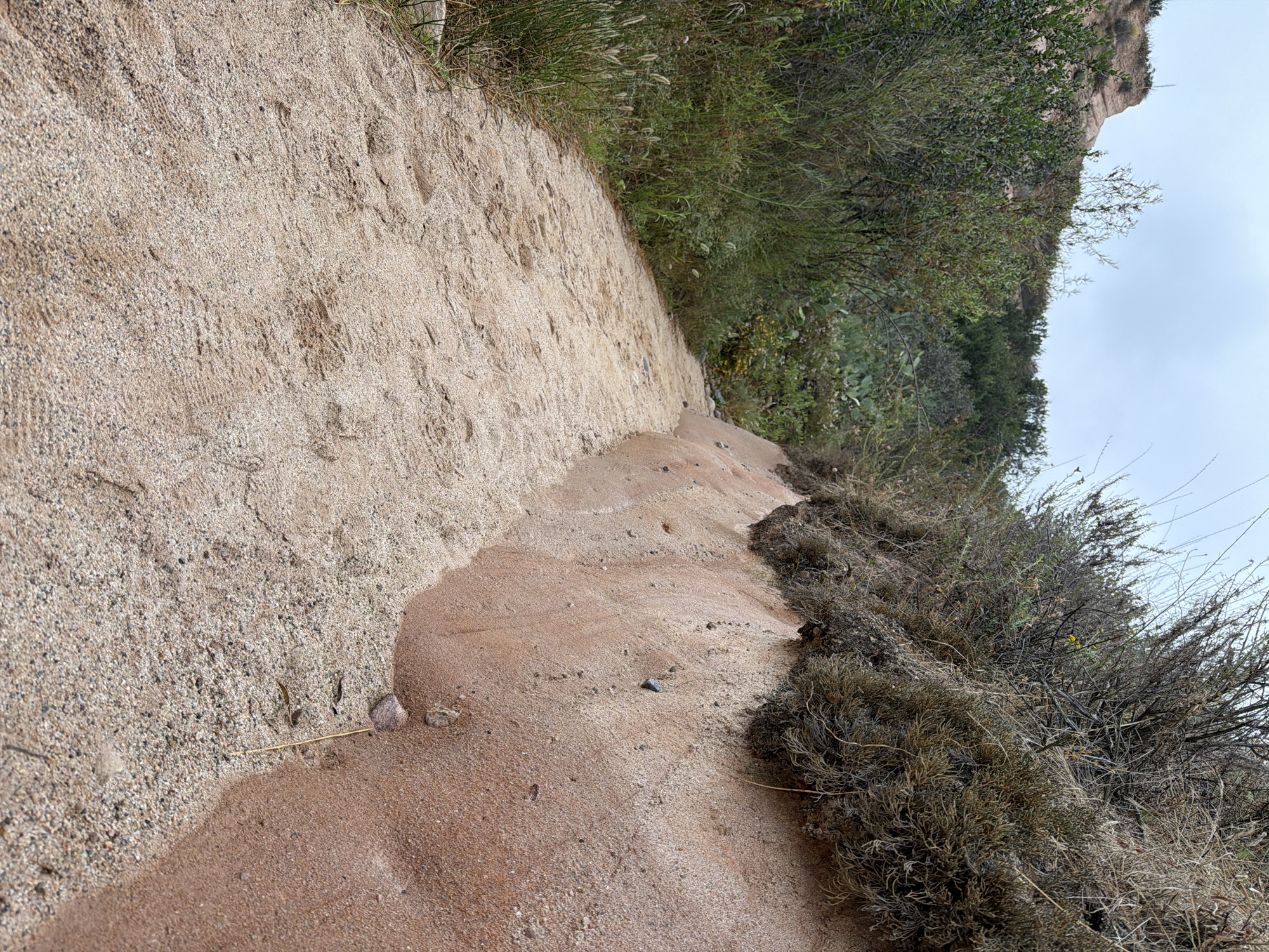 This media file depicts a sandy trail winding through a natural landscape, likely in Lake Forest, USA. The trail itself is the primary subject, composed of light-colored sand with visible footprints and some small pebbles. The trail is bordered on one side by dense, dry scrub brush and on the other by a steep embankment of sand and rock, covered with more vegetation. In the background, rolling hills and a cloudy sky are visible, suggesting an overcast day. The scene conveys a sense of a wilderness trail, possibly in a dry or arid climate. No people or specific objects are discernible, nor is any text. The overall impression is one of a natural, undeveloped outdoor environment.