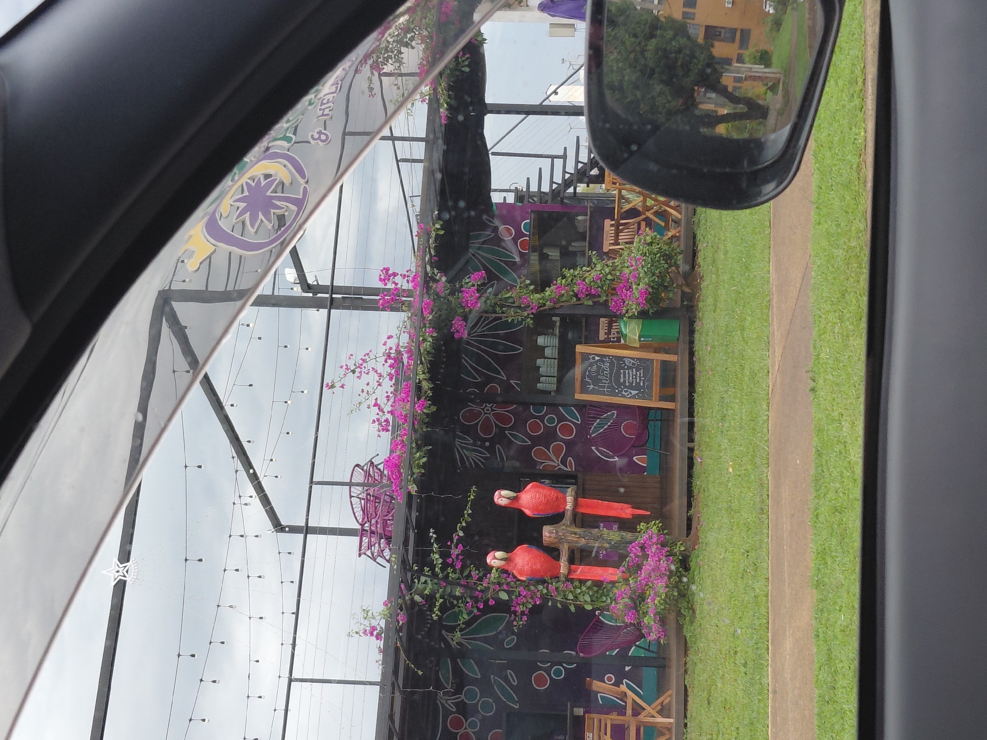 The image captures a storefront decorated with colorful artwork and vibrant pink bougainvillea flowers. Two red parrot statues perch on a wooden post in front of the store, which appears to be a cafe or ice cream shop, indicated by a blackboard sign that reads "Gelados." The shop has an industrial-chic design, featuring a metal frame structure and corrugated metal walls adorned with floral patterns and fruits. Outdoor seating with wooden chairs and tables is visible. In the reflection of the car's side mirror, a residential building and trees are seen, suggesting an urban or suburban setting. The sky is overcast, and the overall lighting suggests it is daytime. The shop is located on a street in Encarnacion, Paraguay.