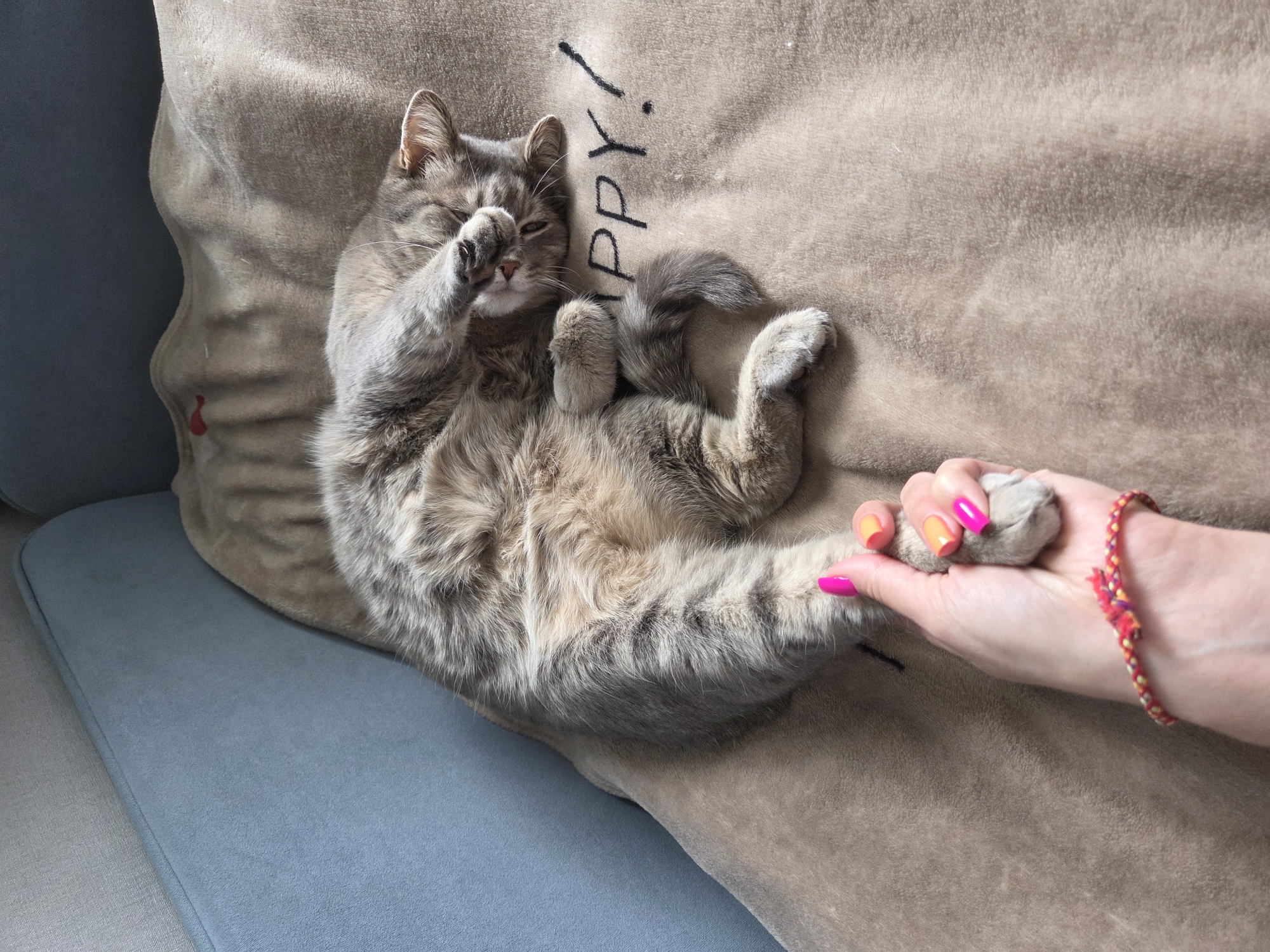 A gray tabby cat is lying on a beige pillow on a blue sofa. The cat is on its back with its belly exposed. One paw is covering its face, while the other paws are curled up. A hand with brightly painted nails (pink and orange) is holding one of the cat's paws. The hand also has a colorful braided bracelet. The pillow has the word "Happy!" written on it. There is no indication that the image was taken in Birobidzhan, Russia.