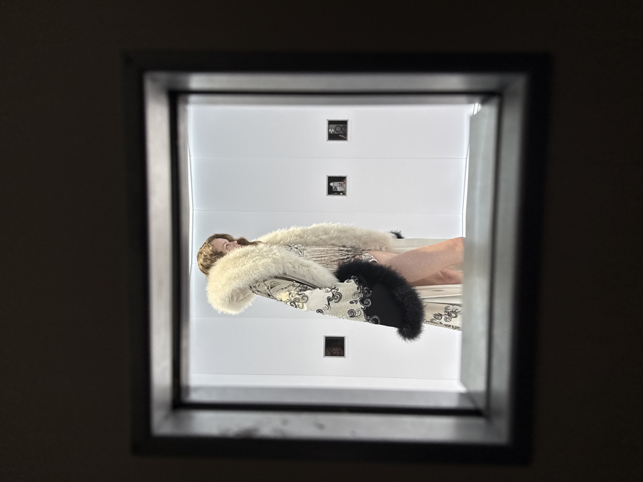 A rectangular frame captures a scene of a woman reclining in a brightly lit, minimalist white room. She wears a flowing gown with intricate patterns and a lavish white fur stole. Dark fur accents the gown's edge. The room's stark whiteness is broken only by small, square fixtures on the wall behind her. The angle is upward, giving the impression of looking into the room. The outer perimeter of the shot is a dark, neutral tone.