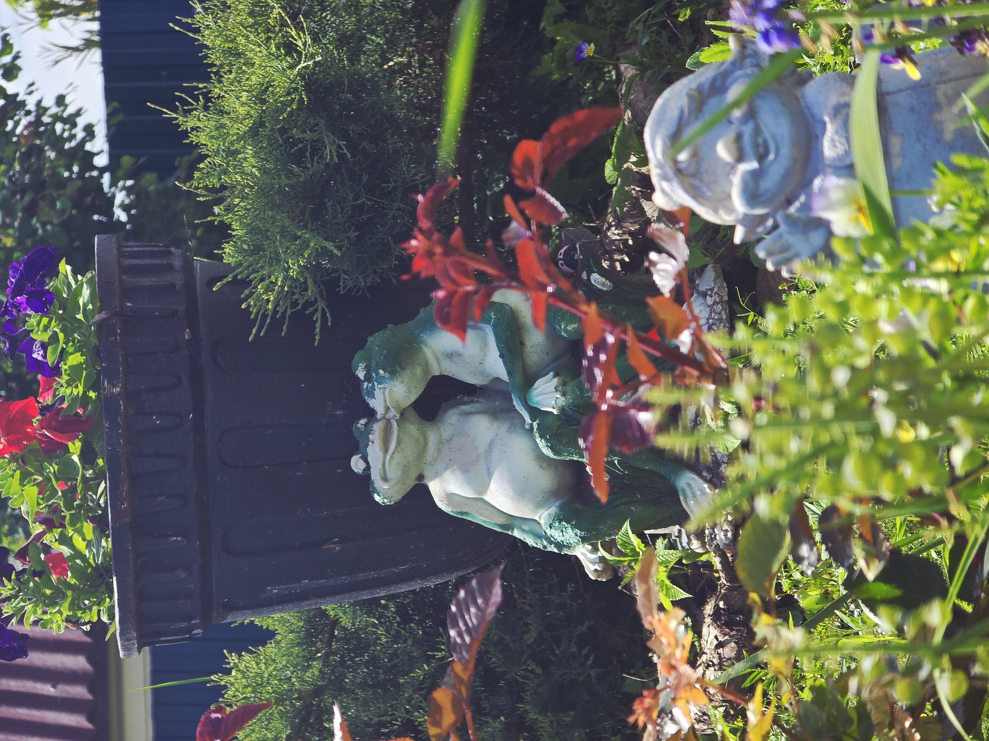 The image depicts a garden setting in Онуфриево, Russia. In the foreground, two frog figurines, painted with a green and white finish, appear to be interacting. Behind them is a flower pot with red and purple petunias. Further in the background, a small bush and a statue of a face are visible among other greenery. The scene appears to be bathed in daylight.