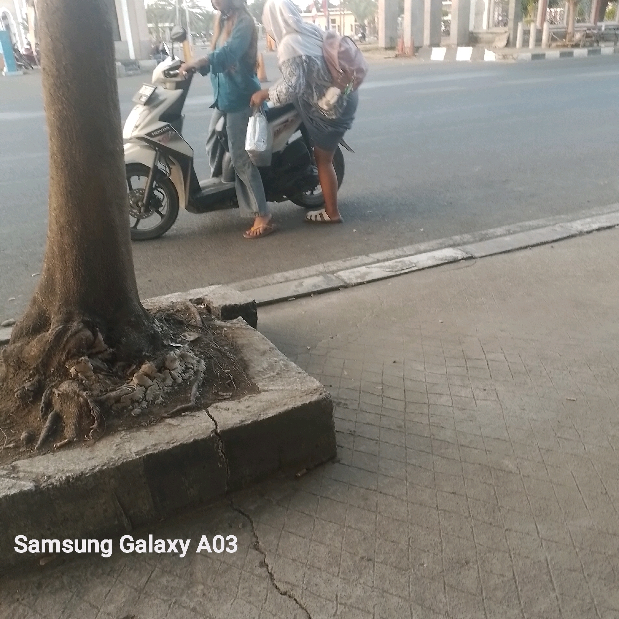 In Kenanga, Indonesia, two individuals are near a white motorcycle parked on a paved road. One person, wearing a blue shirt and jeans, is seated on the motorcycle, while the other, in a grey headscarf and dress, stands beside it, holding a white plastic bag. A large tree trunk and its exposed roots are prominent in the foreground, next to a cracked concrete curb. The background reveals a street with buildings and traffic signals. The scene is captured in natural daylight, with the "Samsung Galaxy A03" watermark subtly placed in the lower left corner.