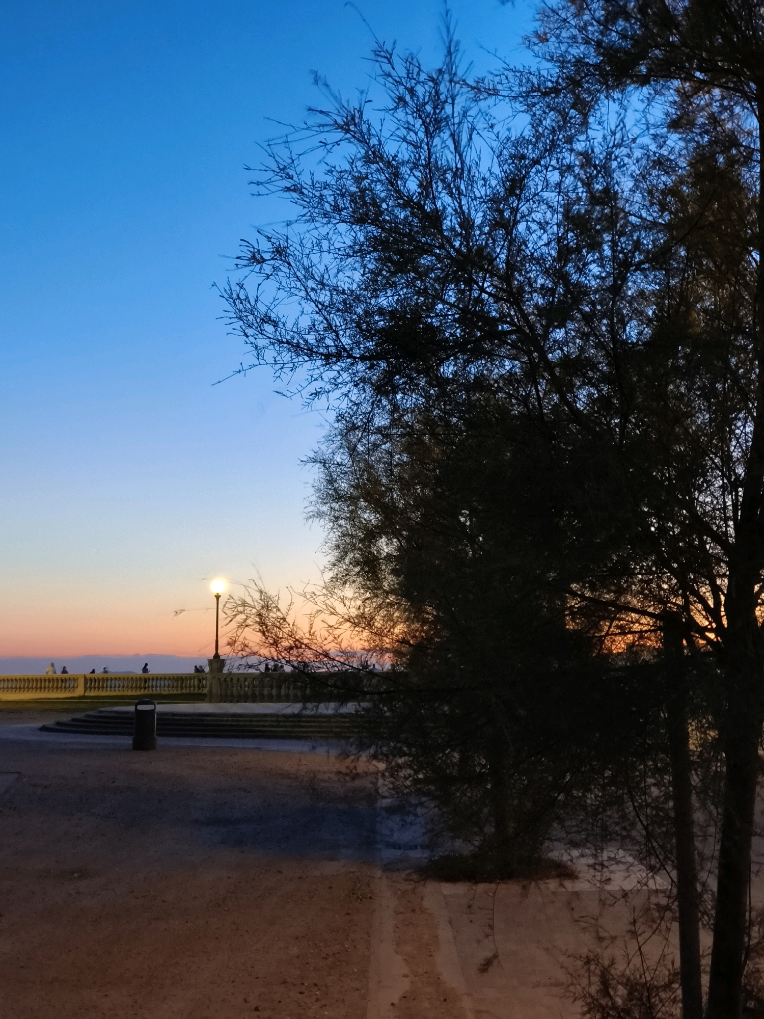 The image depicts a scene at dusk, with a clear blue sky transitioning into a soft orange and pink hue near the horizon. In the foreground, silhouetted branches of a tree dominate the right side of the frame, with sparse leaves and thin twigs. The ground in the immediate foreground is sandy or dusty.
Further back, a pathway or promenade is visible, with a decorative stone balustrade running along its edge. Several people, appearing as small, indistinct figures, are seen standing or walking along this balustrade. To the left of the balustrade, a modern, dark-colored trash receptacle is positioned next to a set of curved steps leading down. A lamppost with a lit bulb stands prominently near the center of the image, casting a warm glow.
In the far distance, the horizon is marked by subtle landforms or structures, and the sky continues to show the colors of sunset or twilight. The overall atmosphere is peaceful and serene, suggesting an outdoor public space in a city.
This scene is identifiable as the Terrazza Mascagni in Livorno, Italy, a renowned seafront promenade known for its checkered pavement (partially visible in the foreground as dusty ground), balustrades, and views of the sea. The lamppost is a characteristic feature of this location.