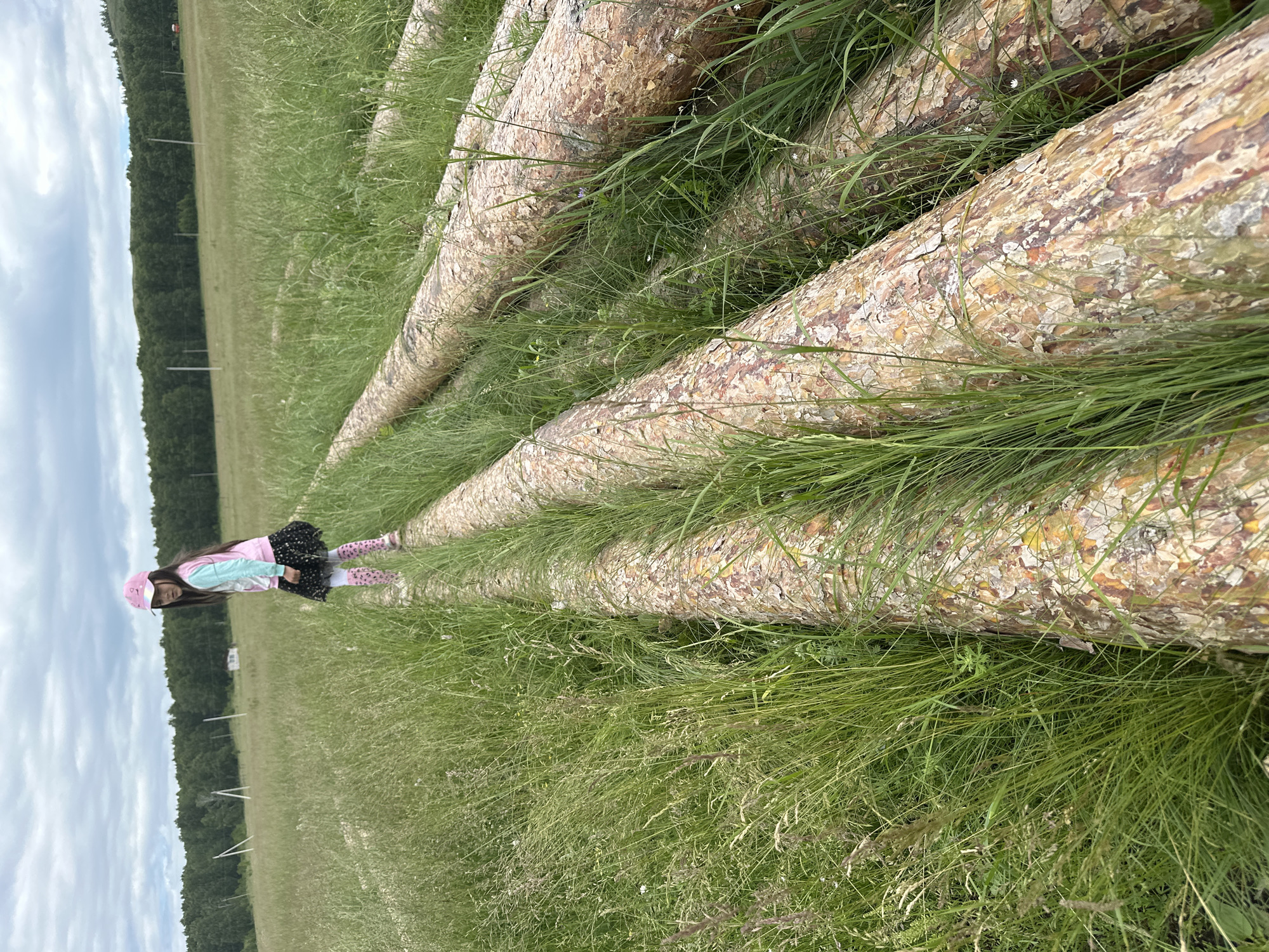 In a field near Urazovo, Russia, a young girl wearing a pink cap, pink and white patterned leggings, a blue and pink jacket, and a black skirt stands on a large, felled pine log. The log is part of a larger collection of logs lying on the ground, mostly obscured by tall green grass. The girl is looking towards the camera. In the background, a line of dark green trees borders the field, and the sky is overcast with gray clouds. The scene is outdoors in a rural setting.