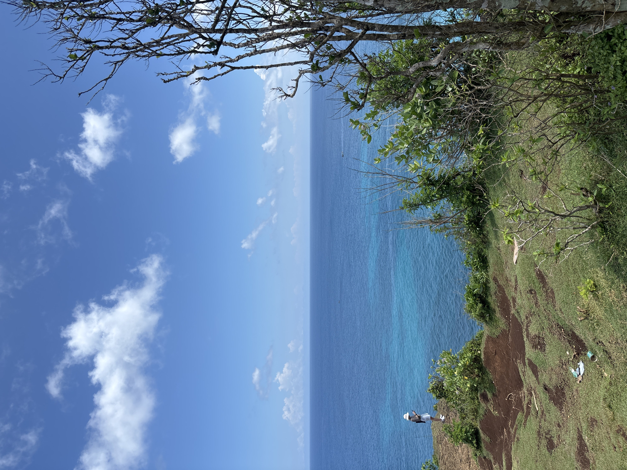 The image shows a view from a cliff in Uluwatu, Indonesia. The scene is vertically oriented with the sky and clouds on the left, the ocean in the middle, and the cliff edge on the right.
The sky is blue with scattered white clouds. The ocean is a gradient of blue, ranging from deep blue to turquoise.
The cliff edge is covered in green grass and vegetation. There are trees and shrubs along the edge, some with bare branches. Two people are visible on the cliff. One is near the bottom of the frame, wearing a hat and dark shorts or skirt. Another is near the top of the frame with a pink kite. There is trash on the ground.