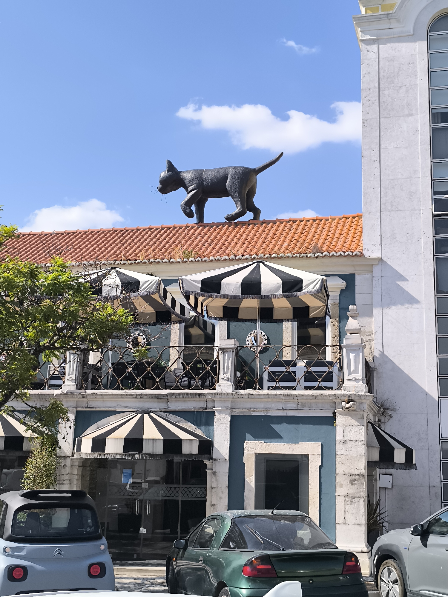 A large, black, metal sculpture of a cat walks across the orange tiled roof of a building in Setúbal, Portugal. The cat sculpture is facing left and its tail is held high. The building has a blue facade with white trim and a second-floor balcony with black and white striped awnings. Below the balcony, there is a glass entrance with more black and white striped awnings. Two cars, a light blue compact car and a dark green sedan, are parked in front of the building. A large tree with green leaves is to the left of the building. The sky is blue with a few white clouds.