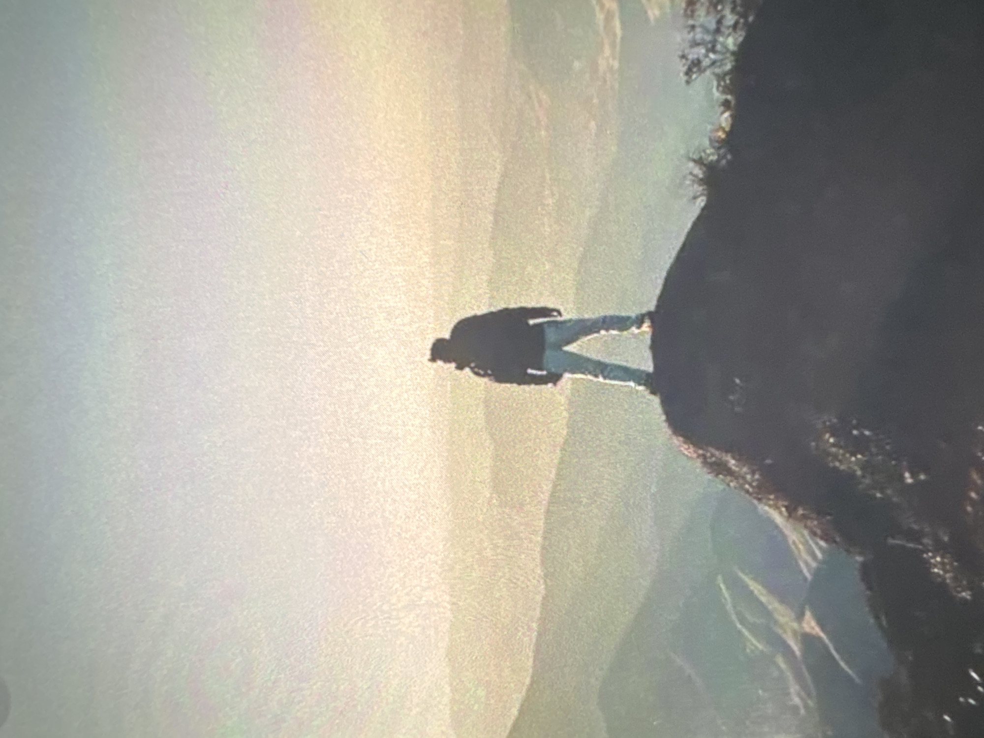 The image depicts a lone individual standing on the edge of a rugged cliff, gazing out at a vast, hazy mountainous landscape. The photograph is oriented vertically, with the dark, rocky cliff and the silhouette of the person positioned on the right side of the frame.
The main subject is a person, seen in silhouette, wearing what appears to be a hooded jacket and light-colored pants. Their posture is upright, suggesting they are observing the expansive vista before them. The cliff itself is dark and irregular, covered with some sparse vegetation.
The scene unfolds at a high elevation, showcasing multiple layers of mountains or hills that recede into the distance, enveloped in a soft, atmospheric haze. This suggests a grand natural setting, possibly a deep valley or a series of mountain ranges. The ambient lighting is bright and diffused, backlighting the individual and the immediate cliff edge, casting them into a strong silhouette. This lighting condition hints at either an early morning sunrise or a late afternoon sunset, lending a serene and contemplative mood to the scene. There is no visible text within the image.