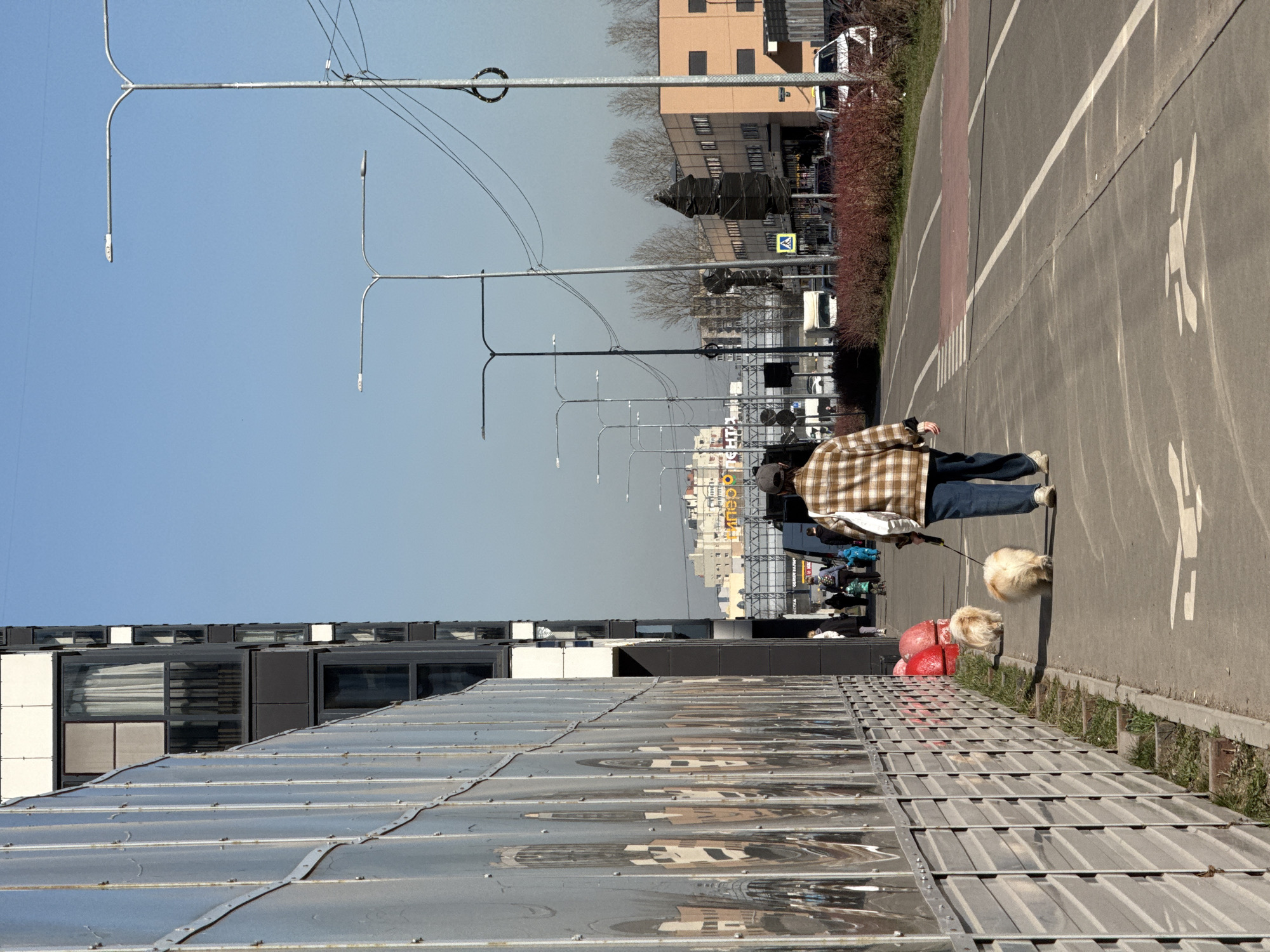 A medium shot, taken outdoors on a sunny day, shows a person walking two dogs on a sidewalk. The person is wearing a plaid shirt and blue jeans and is on the right side of the image facing toward the center. The dogs are fluffy and light-colored. The sidewalk has painted white pedestrian symbols. To the left of the sidewalk is a modern building with reflective metal siding. Above the sidewalk are streetlights. Across the street are buildings and trees. The sky is blue. The city is Saint Petersburg, Russia.