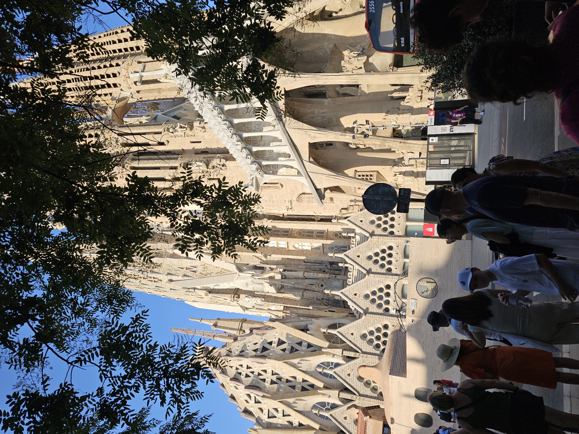 This image shows a view of the Sagrada Familia basilica in Barcelona, Spain. The basilica is a large, intricate stone structure with many spires and detailed carvings. Sunlight casts shadows on the building, suggesting it is daytime, likely late afternoon or early morning given the angle of the light. The sky is a clear blue.
In the foreground, the branches and leaves of a tree obscure part of the view of the basilica. Several people are visible in the image, some of whom appear to be tourists. They are walking along a sidewalk in front of the basilica, some looking up at the architecture. One person is wearing a white baseball cap, another a wide-brimmed hat, and one person is wearing a pink shirt with the number "8" on it.
In the background, a red bus is partially visible. Text on the bus reads "2556" and "movenits". Other visible text includes "tickets" on a sign near a building entrance and what appears to be a street name sign. The overall atmosphere appears to be that of a busy tourist location on a pleasant day. The architecture itself is a notable detail, characterized by its unique, organic, and almost fluid design, typical of Antoni Gaudí's style.