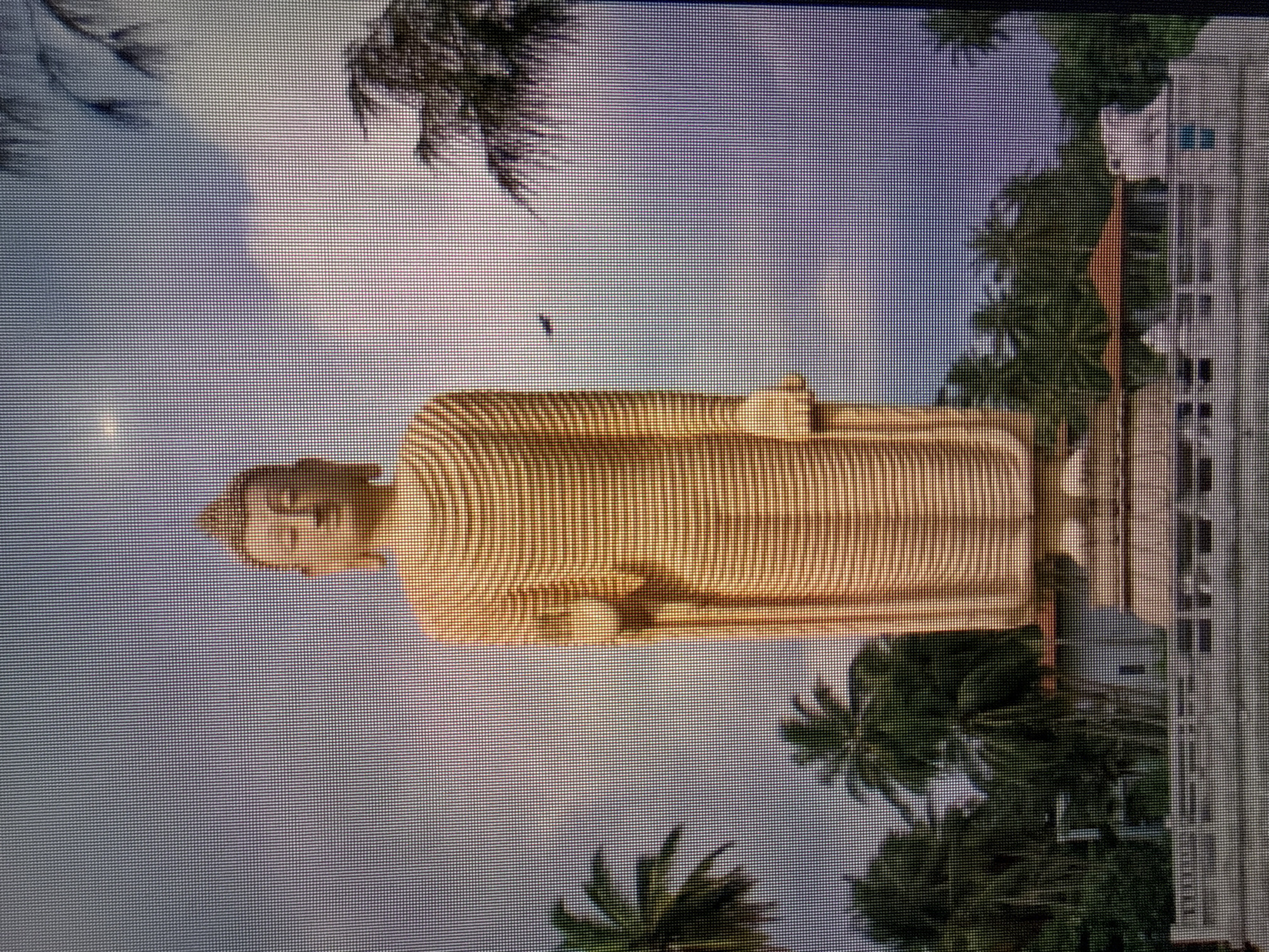 The image depicts a large, standing Buddha statue. The statue is made of light-colored stone or a similar material and appears to be located in a tropical or coastal environment, with palm trees visible in the background. There's a building visible to the right of the statue. The sky is pale blue with scattered clouds.
I cannot determine the specific location of this statue within the city of Sofia, Bulgaria based on visual information alone. The style of the statue and the surrounding environment do not suggest Bulgaria. Additional information would be required to locate it within that city.