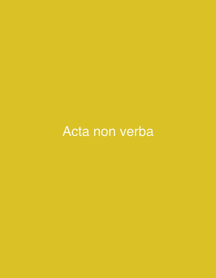 The image displays the phrase "Acta non verba" in white text against a solid yellow background. The text is centered horizontally and positioned in the lower half of the frame. The background appears to be a flat, uninterrupted surface, suggesting a digital image or a photograph of a plain backdrop. There are no discernible environmental elements, people, or objects within the scene that would indicate a specific location in Vilnius, Lithuania, or any other geographical setting.