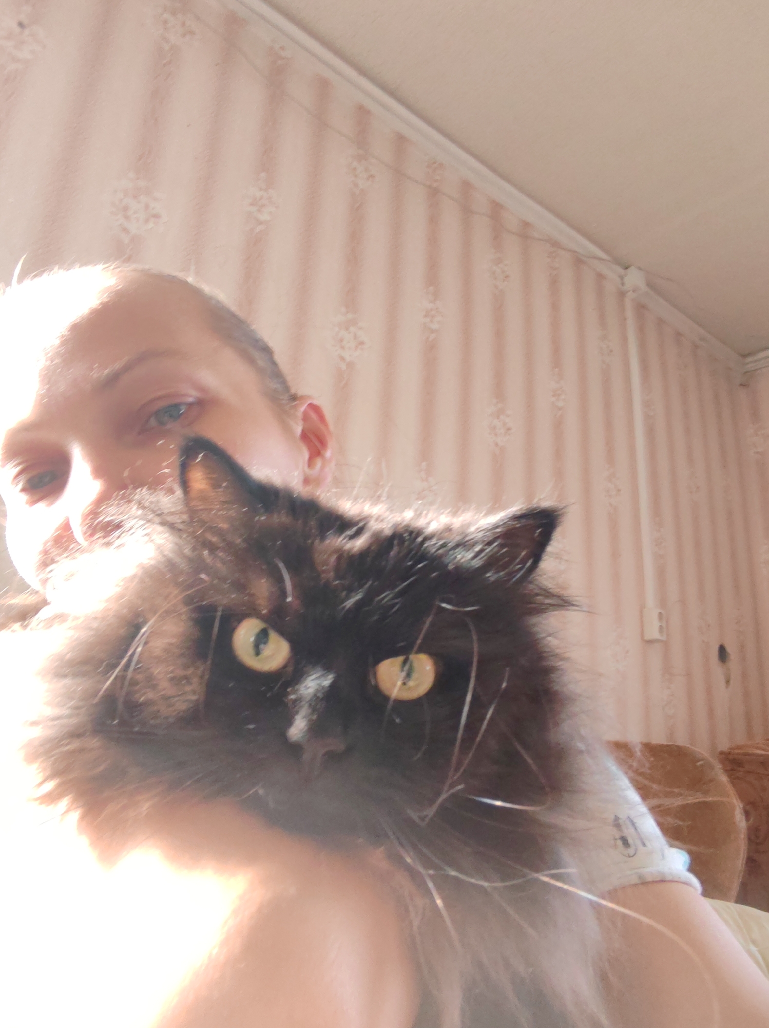 The image depicts a close-up, eye-level shot of a person holding a fluffy, dark-furred cat. The person's face is partially visible, with their head tilted and eyes looking towards the camera. The cat's face is the central focus, with its bright yellow eyes looking directly at the viewer. The background consists of a wall with striped pink wallpaper and what appears to be a ceiling with a white molding. The lighting is strong, casting a bright glow on the person's forehead and creating some lens flare. The overall impression is that of a candid, personal moment captured at home. The location is identified as Chukhloma, Russia.