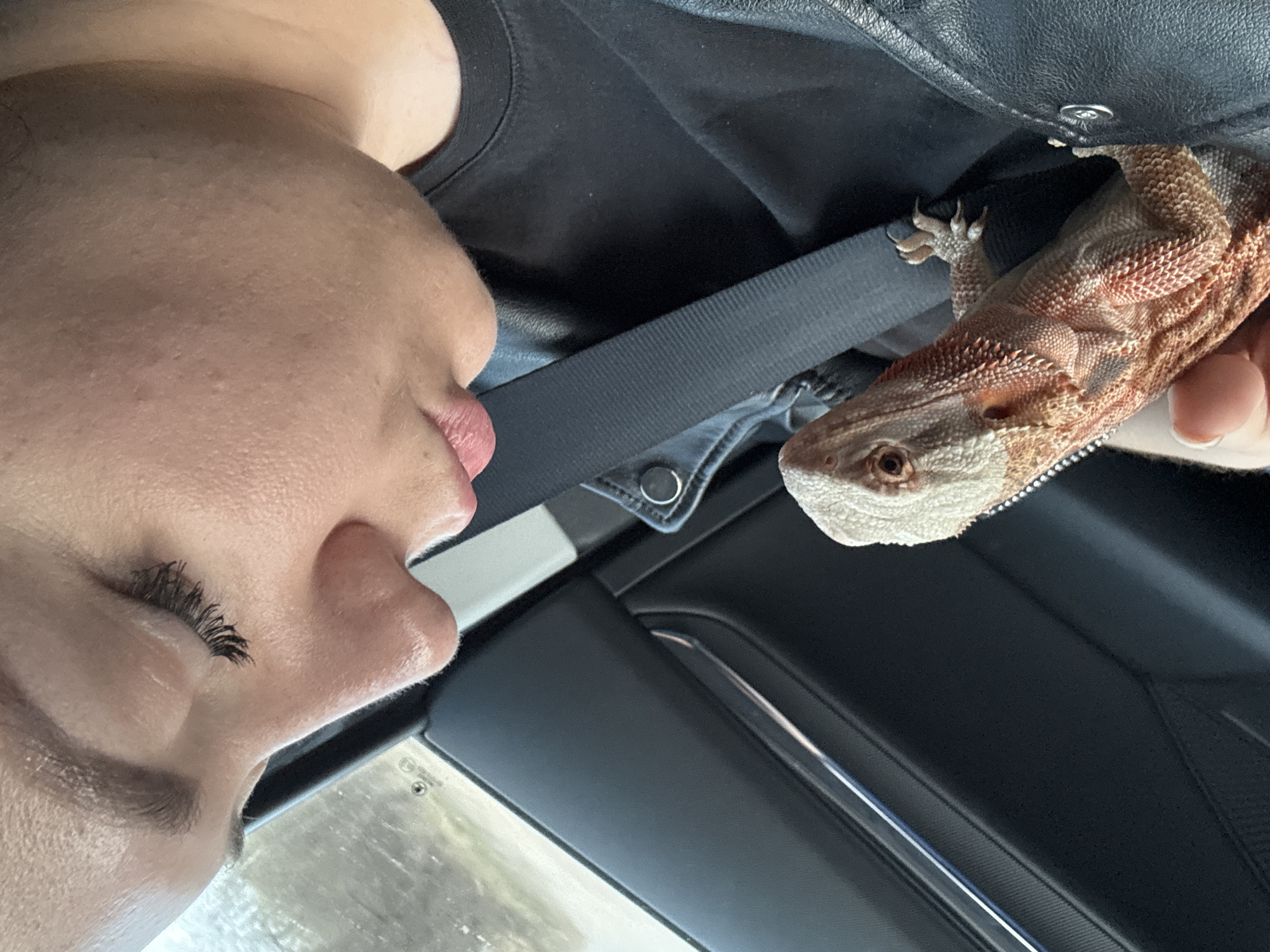 A close-up, tilted, medium shot shows a person and a reptile (bearded dragon) inside a car. The person is positioned on the left side of the frame, and only a portion of their face (eyes, nose, lips) is visible. The person's face is facing to the right. They are wearing dark clothing. A seatbelt stretches across the scene between the person and the reptile. The bearded dragon is positioned on the right side of the frame, held by a hand out of view. The setting appears to be the interior of a car, with dark gray trim and interior elements visible. No information indicates the location is the city of Mit'kino, Russia.