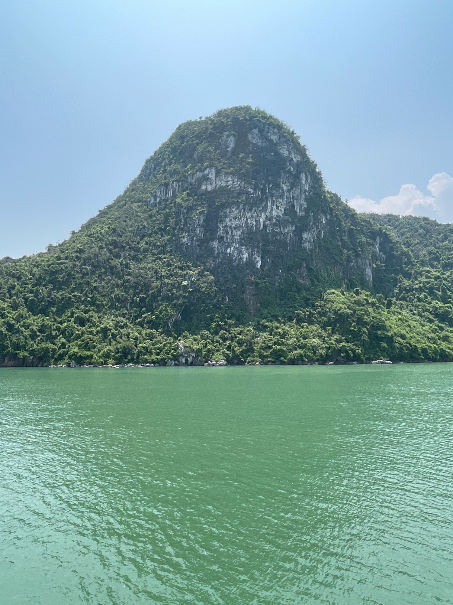 A vast, lush green mountain with a rocky, weathered face rises prominently from the calm, jade-colored water. The mountain is covered in dense vegetation, with trees and shrubs clinging to its slopes. The sky above is a clear, pale blue, with a few wispy clouds on the horizon. The water's surface is gently rippled, reflecting the light of the sun. The scene evokes a sense of natural beauty and tranquility. This is a view of Ha Long Bay, Vietnam, a UNESCO World Heritage site known for its karst landscape and emerald waters.