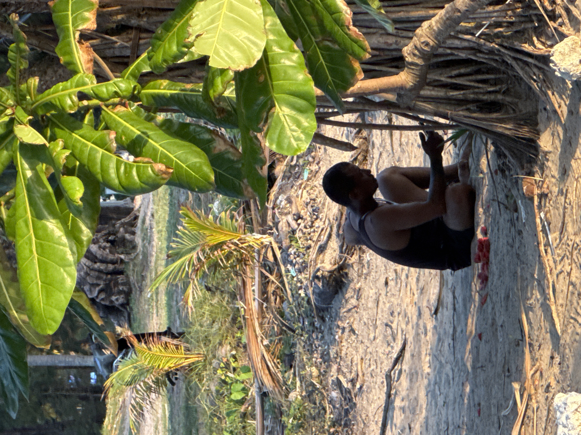 A man wearing a dark tank top and shorts sits on sandy ground beneath the shade of a tree with large green leaves. He is looking down at his hands. In front of him, on the sand, are several pieces of red material, possibly fabric or food. The environment appears to be a beach or coastal area, with scattered driftwood, dried palm fronds, and small green plants. The background shows more trees and vegetation, suggesting a tropical location like Karon, Thailand. The lighting indicates it is either early morning or late afternoon.