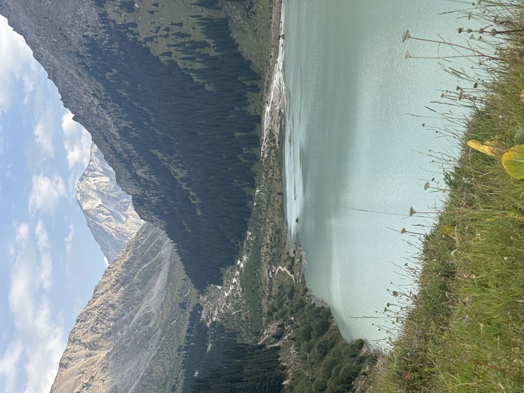The image shows a panoramic view of a mountain lake with turquoise water, framed by steep, forested slopes and rocky peaks. The foreground features a grassy hillside with wildflowers and dried grasses. In the midground, the lake stretches out, with a narrow, winding road visible along its northern edge. Beyond the lake, a riverbed with sparse vegetation runs down a wide, rocky valley between the mountains. The background is dominated by towering, snow-capped mountains under a partly cloudy sky. The scene is identified as Big Almaty Lake, a popular tourist destination located in the Trans-Ili Alatau mountains, approximately 15 kilometers south of Almaty, Kazakhstan. There are no people or specific actions depicted in the image.