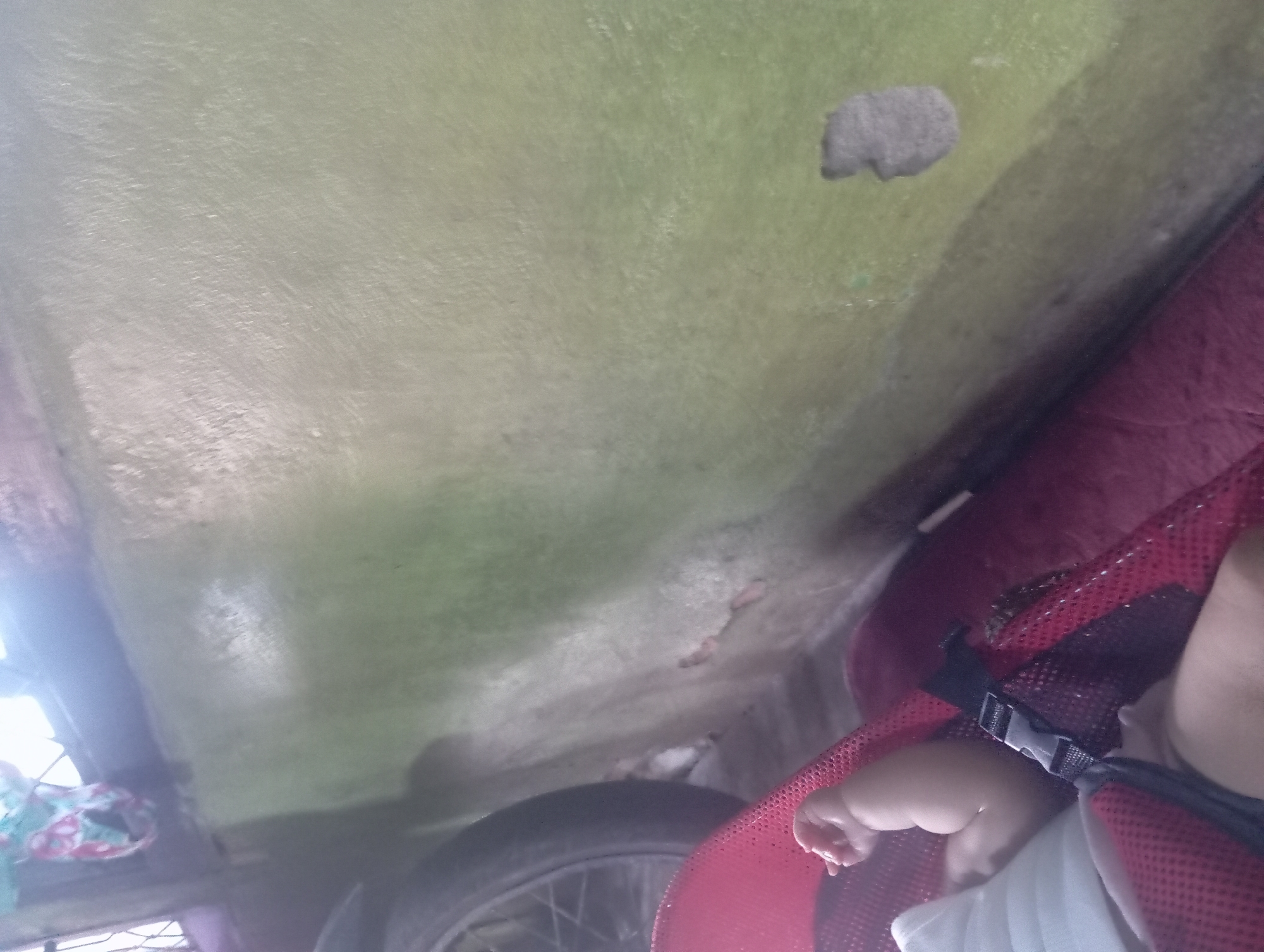 A baby is lying in a red stroller next to a window. The wall behind the stroller is painted a light green color and appears to be textured with some peeling paint. A bicycle wheel is visible to the left of the stroller. The scene appears to be indoors in a residential setting in Rejosari, Indonesia.