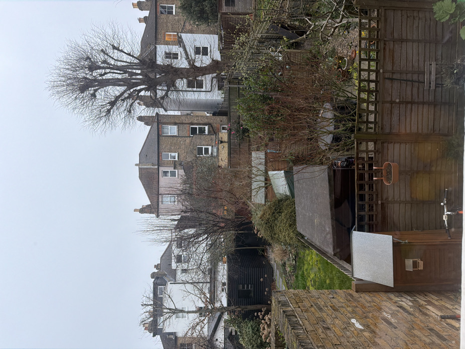 The image displays a residential back garden scene in an urban area, typical of London, United Kingdom, under an overcast sky, suggesting late autumn, winter, or early spring.
The foreground features a light-brown brick wall on the left. Across the lower portion of the frame, a dark wooden fence with horizontal slats is visible, from which a brown hanging planter is suspended. A small, dark-stained wooden shed with a sloping grey roof and an attached bird feeder box stands against the fence on the lower left. Partially visible below the fence are the handlebars and front wheel of a bicycle.
The midground comprises multiple private gardens. These contain patches of green grass, numerous bare deciduous trees and shrubs, and several wooden garden sheds of varying sizes. One central shed has a flat, dark grey roof, appearing partially covered. A dark, slatted outbuilding is visible in the garden on the far left.
The background consists of the rear facades of traditional British houses, likely terraced or semi-detached. The houses display a mix of light-brown and reddish-brown brickwork, along with painted sections in white and light pink. All houses feature multiple windows, some with white frames, and visible chimney pots on their rooflines. A prominent, tall, bare pollarded tree stands in front of a white-painted house on the right. One window on the middle floor of a brick house in the center-right exhibits interior illumination. The sky above is uniformly grey and overcast. No individuals are visible.