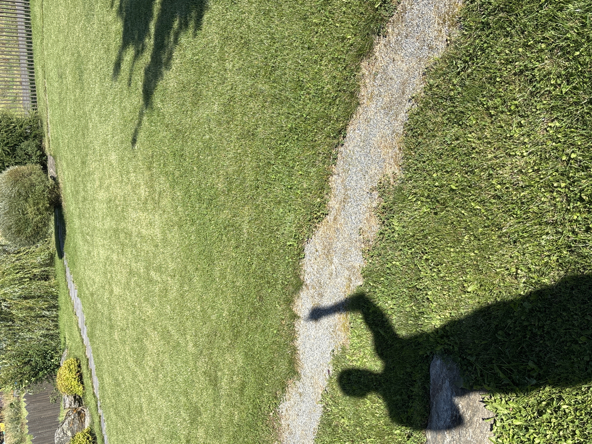 In Zvenigorod, Russia, a sunlit lawn is partially occupied by the shadow of a person with their right arm raised and index finger extended, as if pointing. The shadow is cast on a grassy area adjacent to a gravel pathway. In the background, a wooden fence runs along the edge of the property, beyond which lies a line of trees and shrubs. The overall scene depicts an outdoor residential setting on a clear day.
