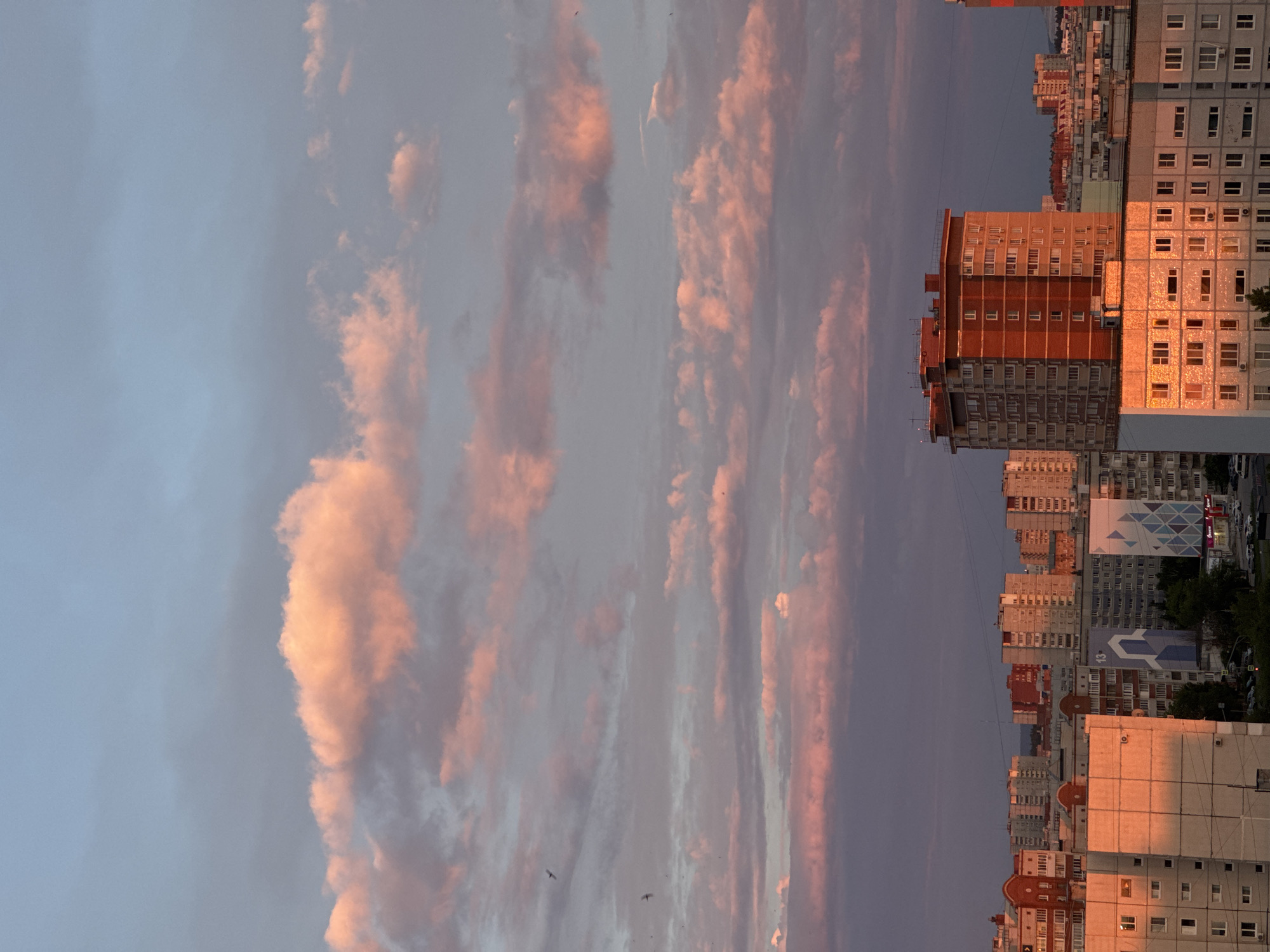 This image presents an elevated view of a dense urban residential landscape in an unknown city at either sunrise or sunset. The sky, occupying the upper two-thirds of the frame, is characterized by a blend of light blue-grey and various shades of pink, orange, and purple, indicating low-angle solar illumination. Numerous stratocumulus and altocumulus clouds are present, with many reflecting intense pink and orange hues from the sun, particularly in the lower sky. Several small, dark bird silhouettes are visible in flight against the mid-upper left sky.
The city beneath consists of a multitude of multi-story apartment buildings, varying in height and design. In the immediate foreground, a light-colored (likely concrete or stucco) apartment building's left facade is brightly illuminated by warm, orange-pink light, mirroring the sky's colors, with numerous windows reflecting the light or appearing dark. To its right, another similar building is partially visible, also catching the warm light. Behind these, a taller, reddish-brown brick apartment building, approximately 10-12 stories high, stands prominently, with parts of its facade illuminated by the warm light while other sections are in shadow.
Further into the midground, a dense collection of apartment blocks of varying heights and materials (concrete, stucco, brick) extends across the frame. These buildings predominantly display a functional, utilitarian architectural style, common in post-war residential developments, featuring repetitive window patterns. Some buildings exhibit large geometric murals or abstract art on their facades, such as a blue and grey abstract pattern on one building and a lighter blue and white design on another. Evidence of urban infrastructure, including power lines, is visible traversing between the buildings. At ground level between the structures, patches of dark green foliage (trees) are interspersed, and parked cars are discernible in what appear to be parking areas. The distant background features more residential buildings fading into the horizon. No specific individuals or discernible actions are visible within the frame.