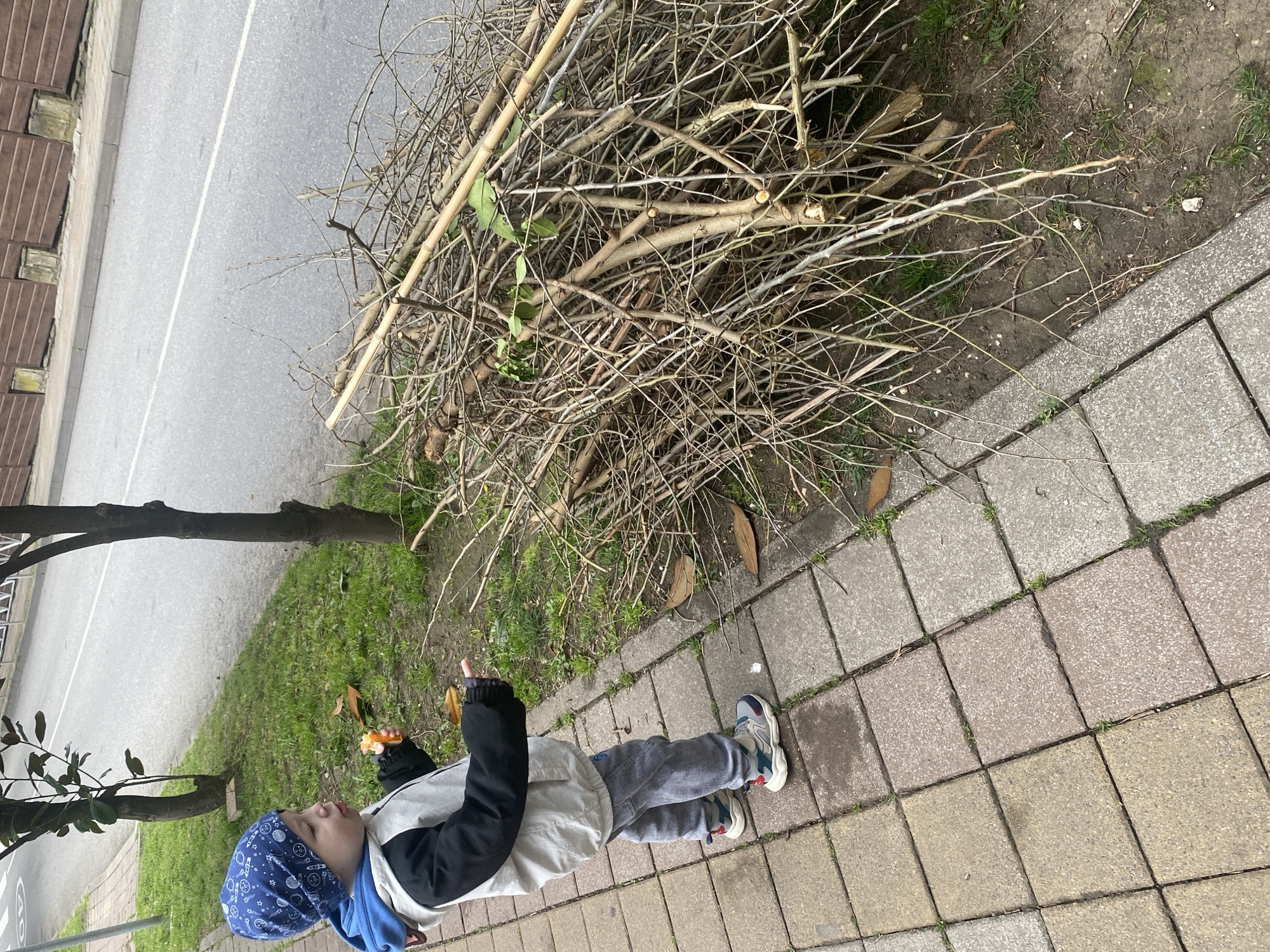 A young child stands on a concrete-tiled sidewalk next to a pile of pruned tree branches. The branches are light brown and mostly bare. A paved road with a white line is visible next to the sidewalk. A tree trunk is partially visible on the left side of the frame, with some greenery. The child is wearing a blue patterned headscarf, a blue hoodie, a light gray jacket with black sleeves, gray pants, and sneakers. They are holding something in their right hand and pointing with their left. The environment appears to be urban. This image was not taken in Sochi, Russia, because the style of sidewalk is not found there.
