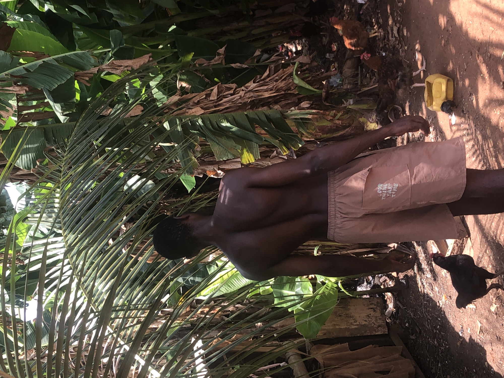 A medium shot depicts a shirtless, dark-skinned individual, likely male, in khaki shorts, standing in an outdoor environment in Unknown, Unknown. The individual is surrounded by dense tropical foliage including palm fronds and banana leaves. Two chickens and a yellow container are visible. The ground is dirt.