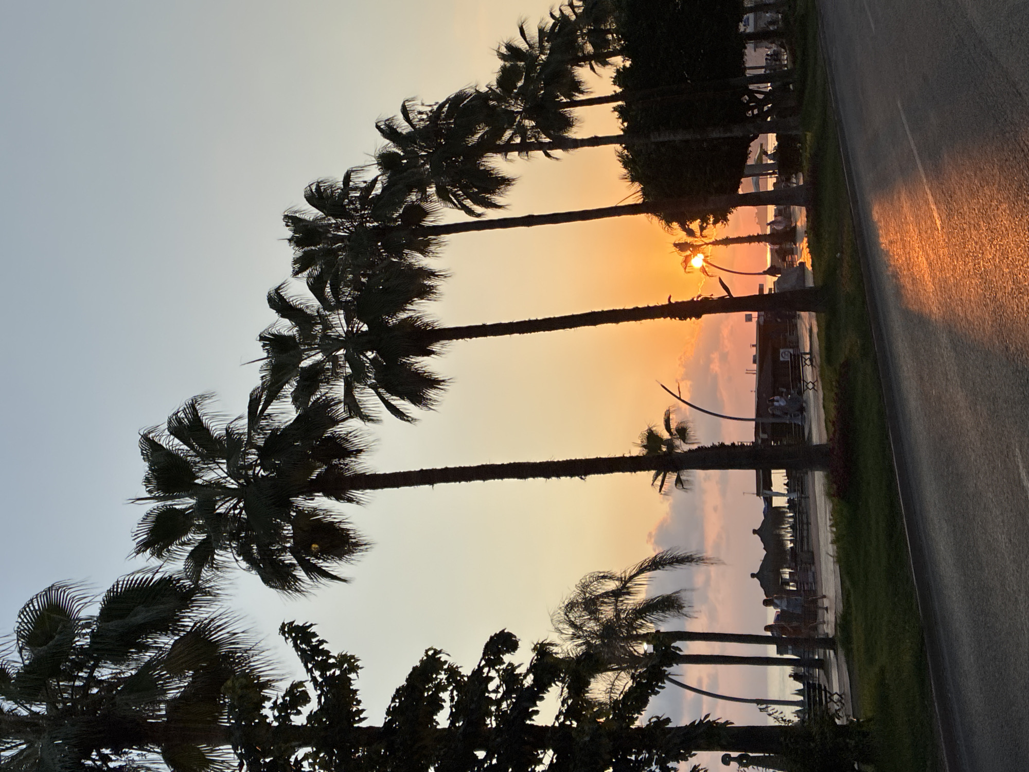 This image captures a sunset scene along the coastline of Alanya, Turkey. A row of silhouetted palm trees dominates the foreground, their fronds creating a stark contrast against the vibrant orange and yellow hues of the sky. The sun, a bright orb, is partially obscured by a palm tree, casting a golden reflection on the wet pavement of the road in the lower right quadrant.
In the mid-ground, a promenade runs parallel to the beach, lined with more palm trees and vegetation. Several people are visible walking and standing along the promenade, some appearing to be tourists. Beach umbrellas and seating areas suggest a leisure zone. The sea is visible in the distance, with a calm surface reflecting the warm tones of the sunset. The overall atmosphere is serene and picturesque, indicative of a popular tourist destination.